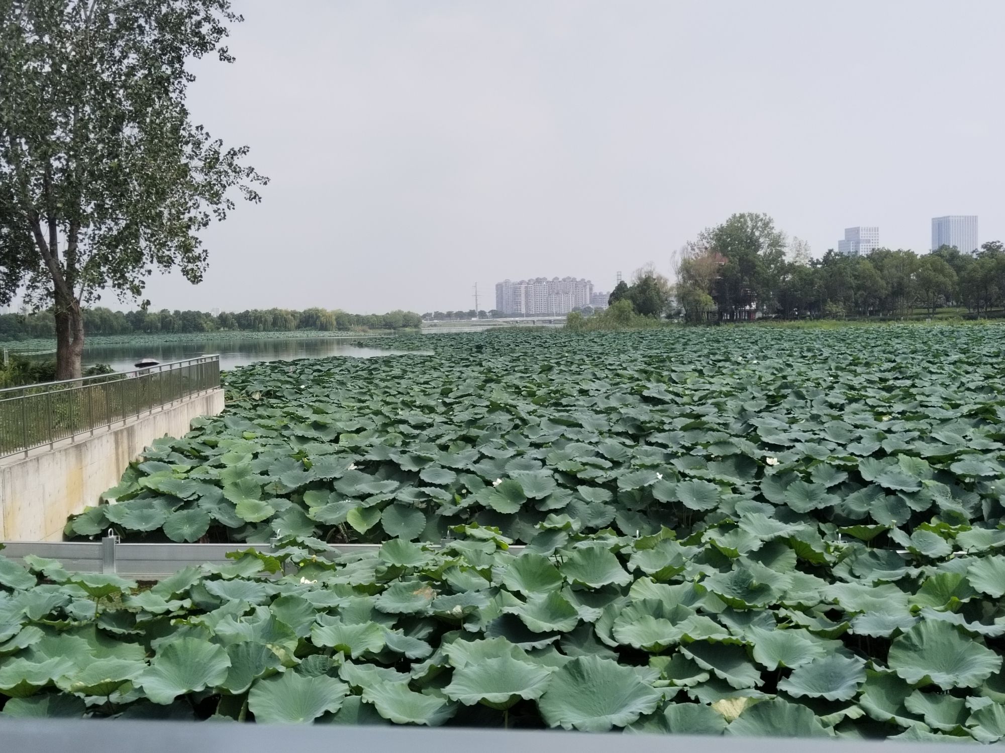 金珠广场旅行图片 3