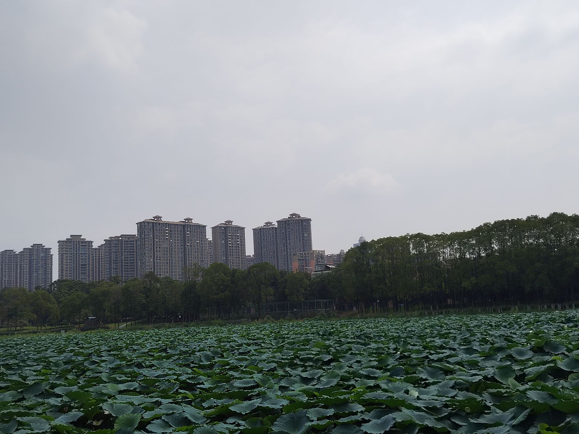 金珠广场旅行图片 1