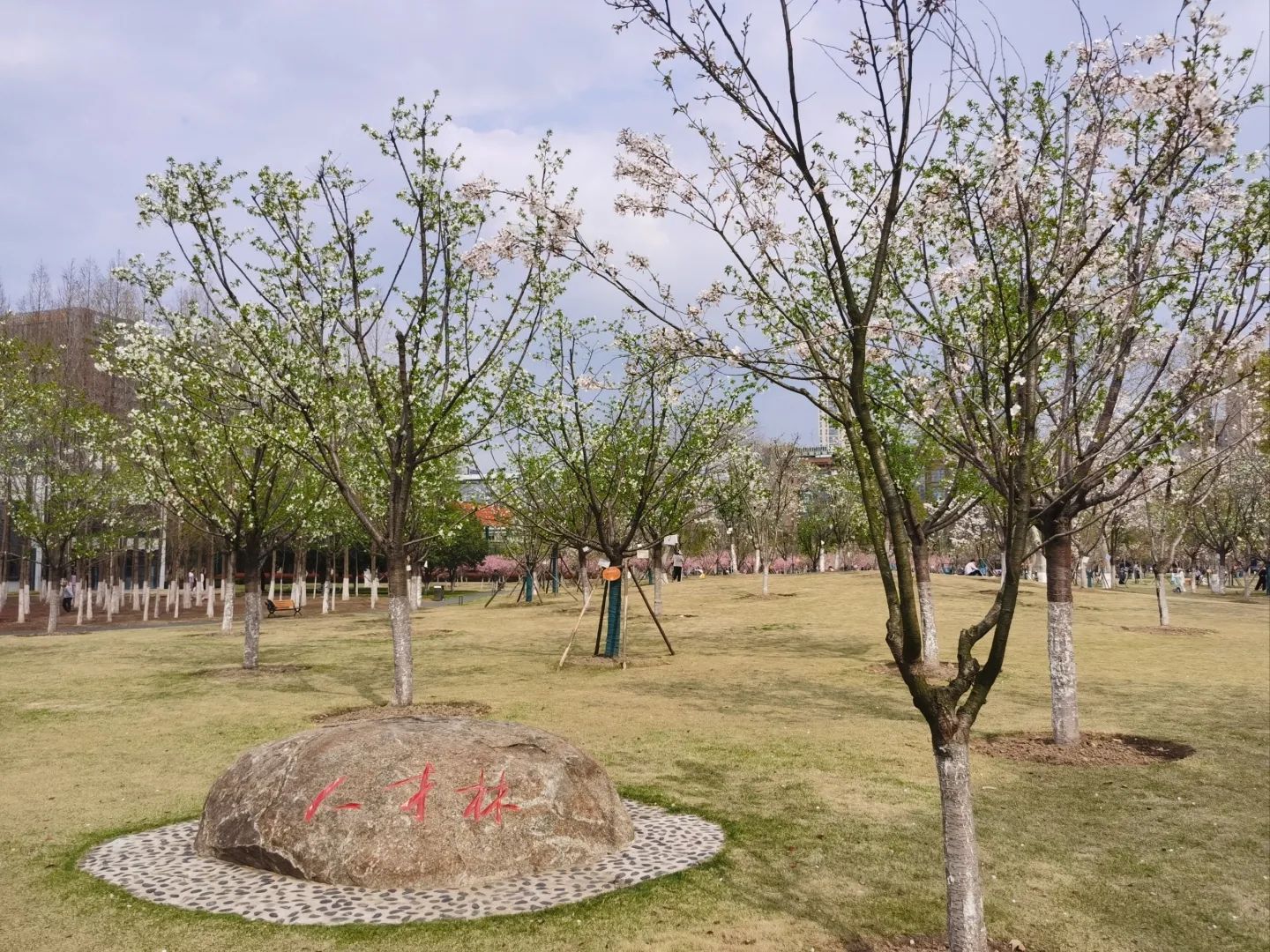 常青人才公园旅行图片 3