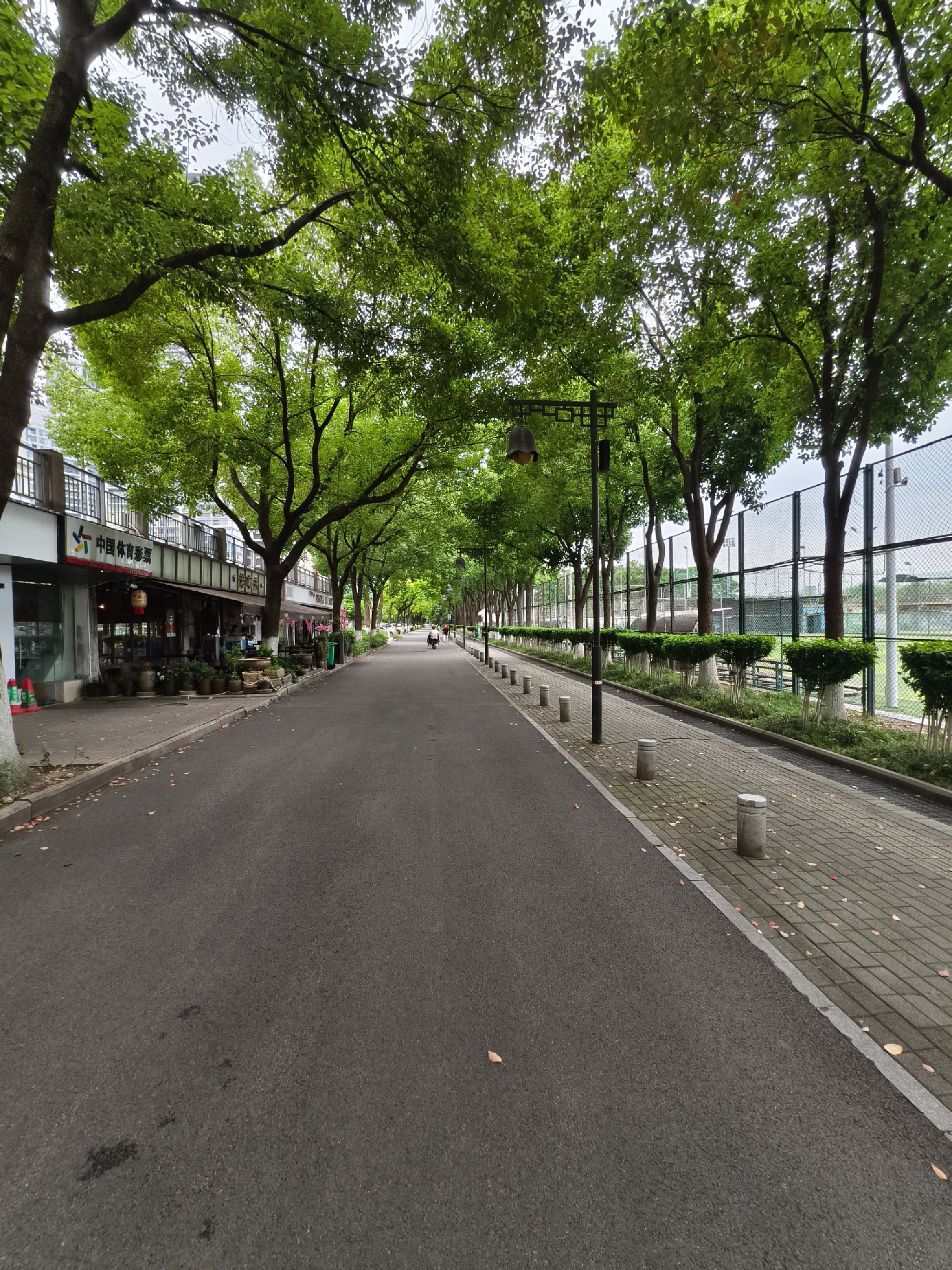 汉阳江滩旅行图片 1