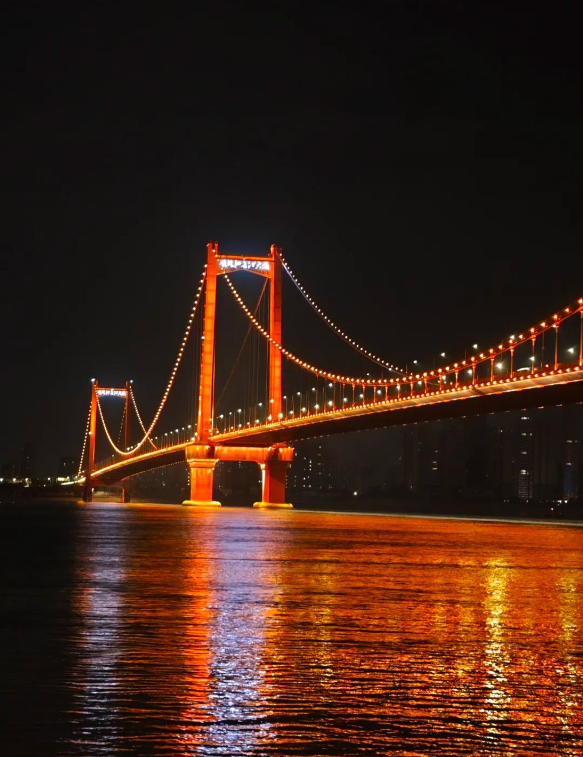 汉阳江滩旅行图片 3