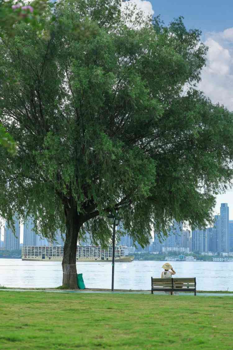 武昌江滩旅行图片 2