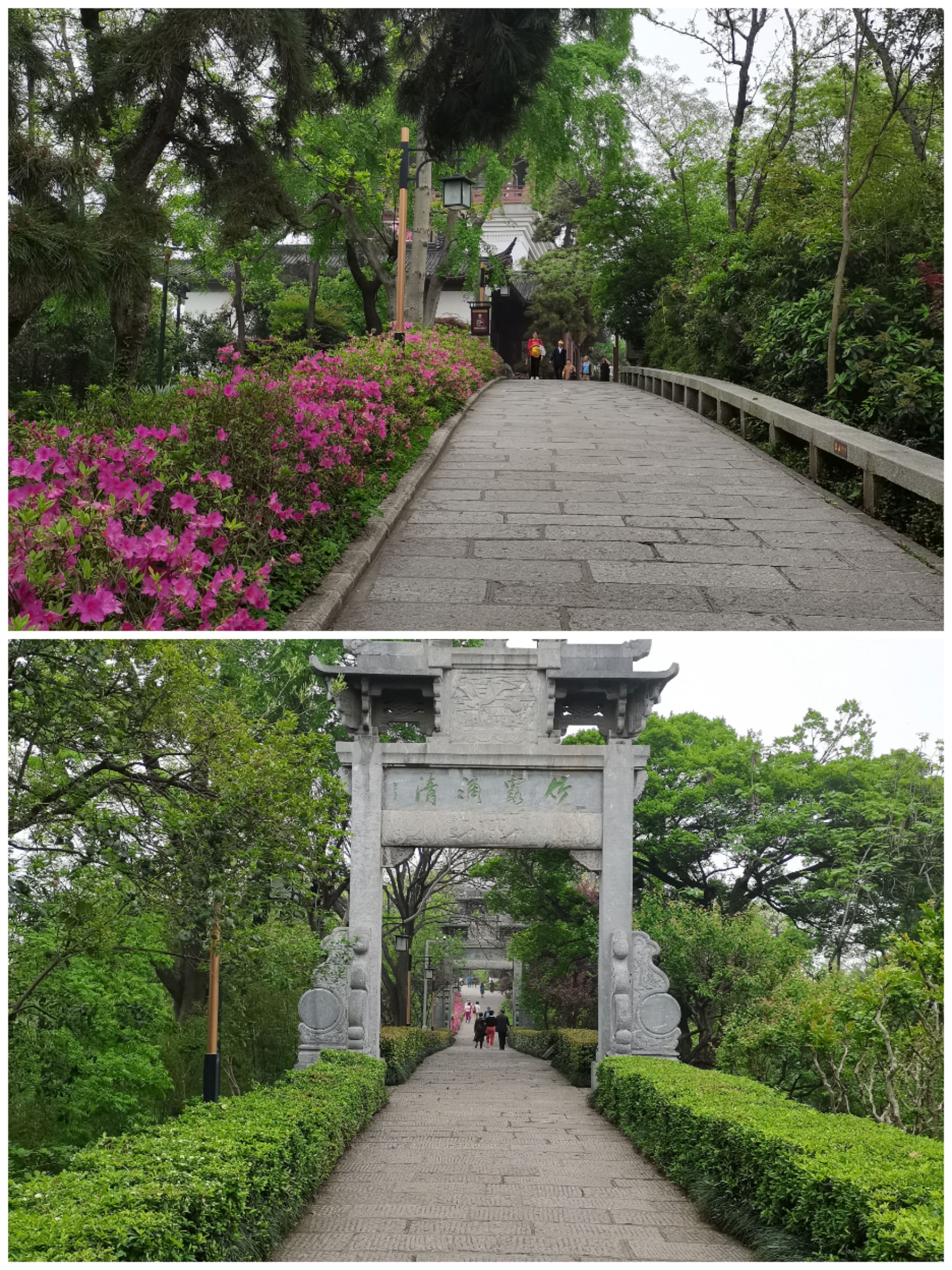 黄鹤楼公园旅行图片 2