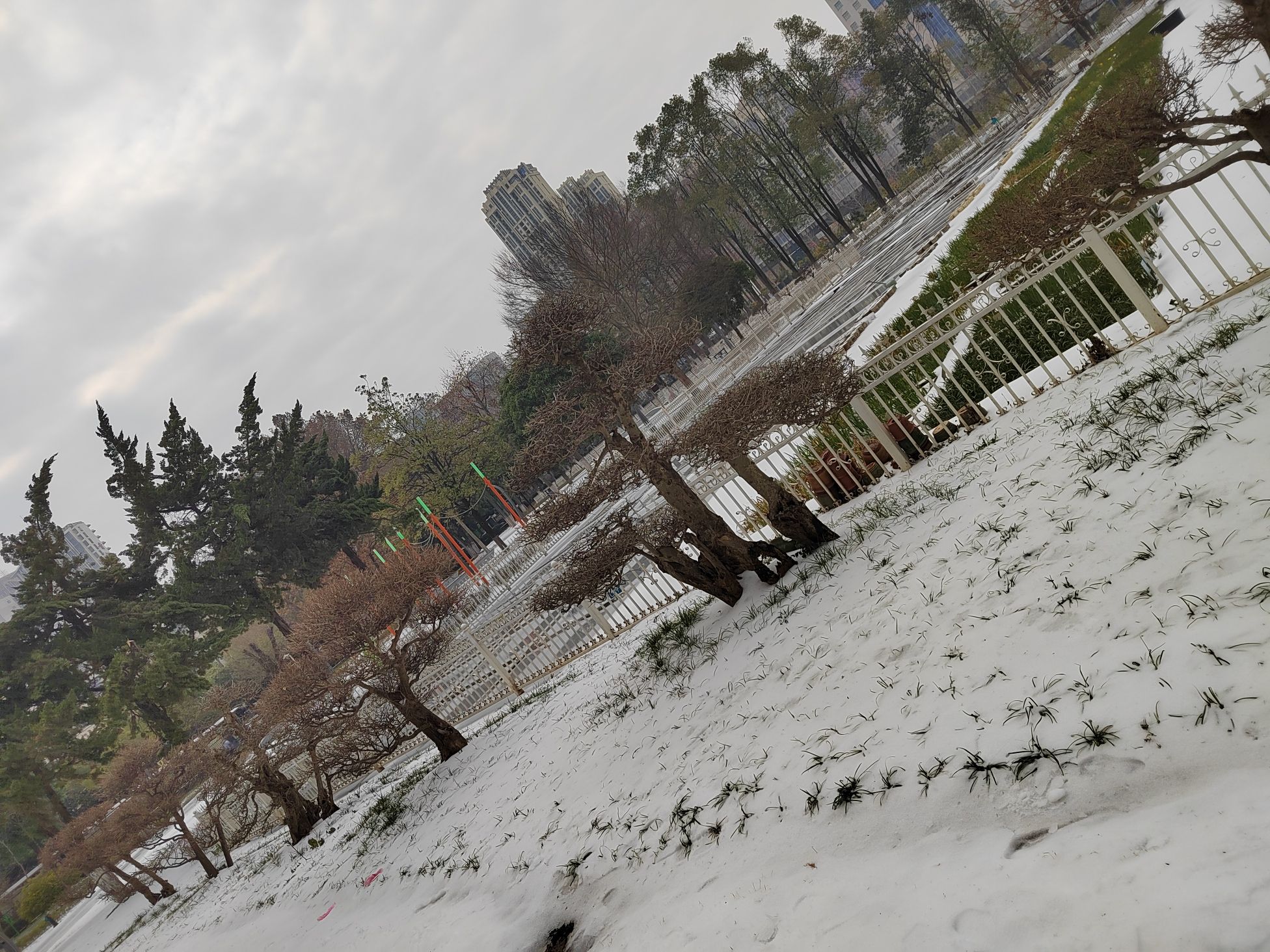 武汉市园林科普公园旅行图片 3