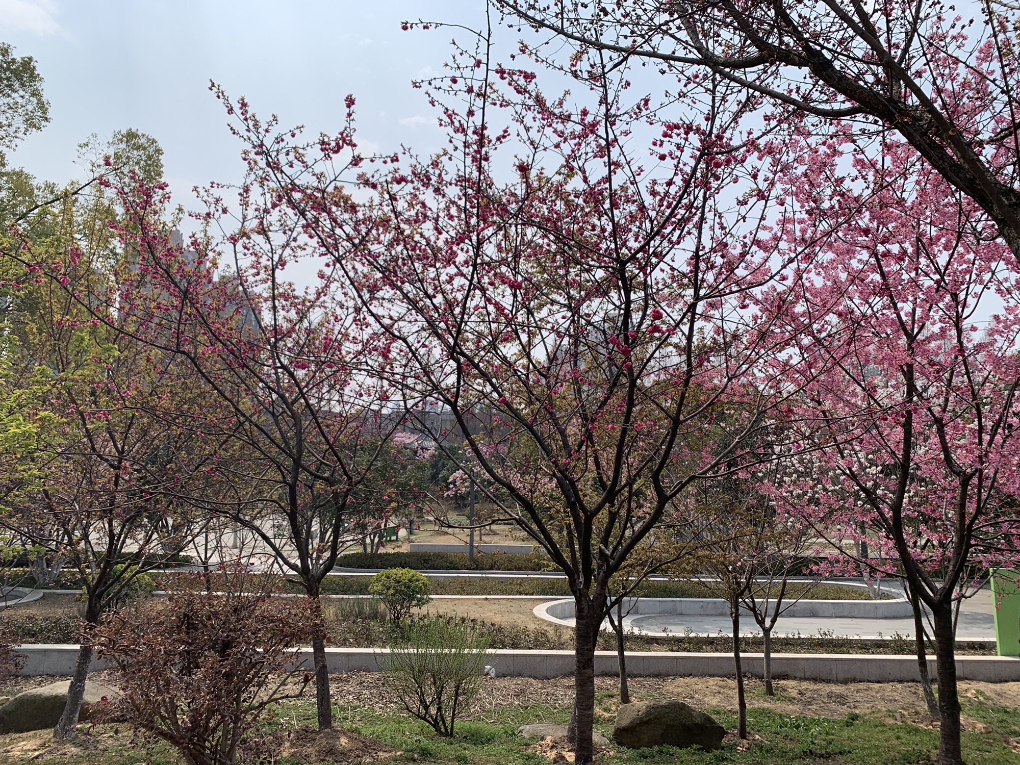 武汉市园林科普公园旅行图片 1