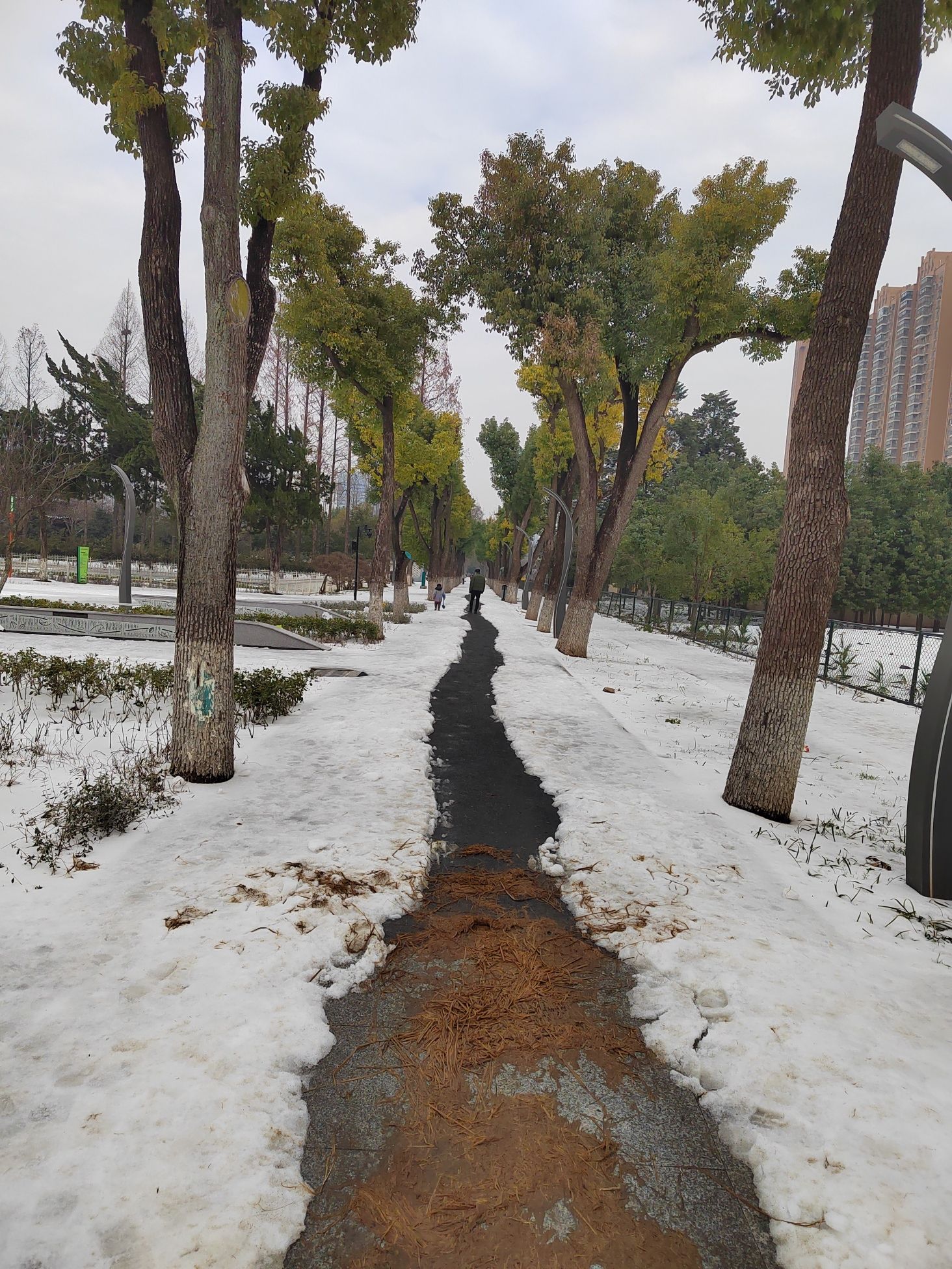 武汉市园林科普公园旅行图片 1