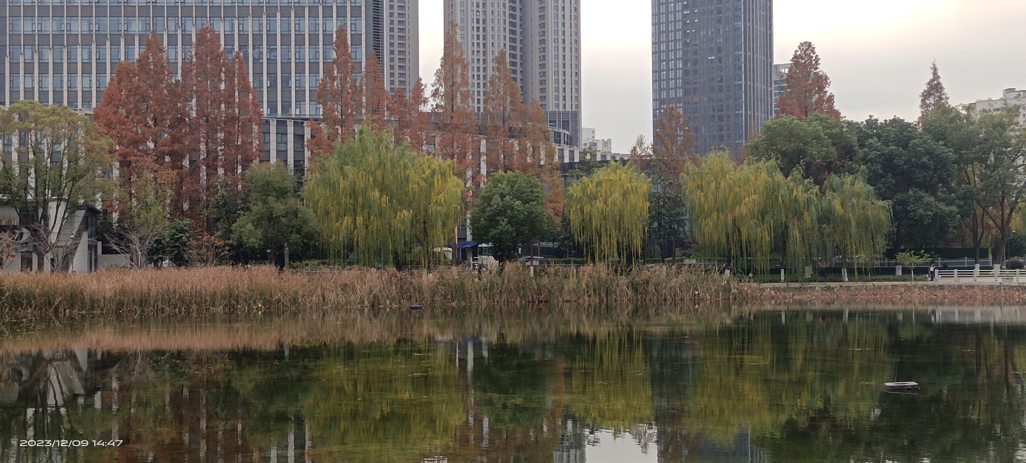 菱角湖公园旅行图片 3