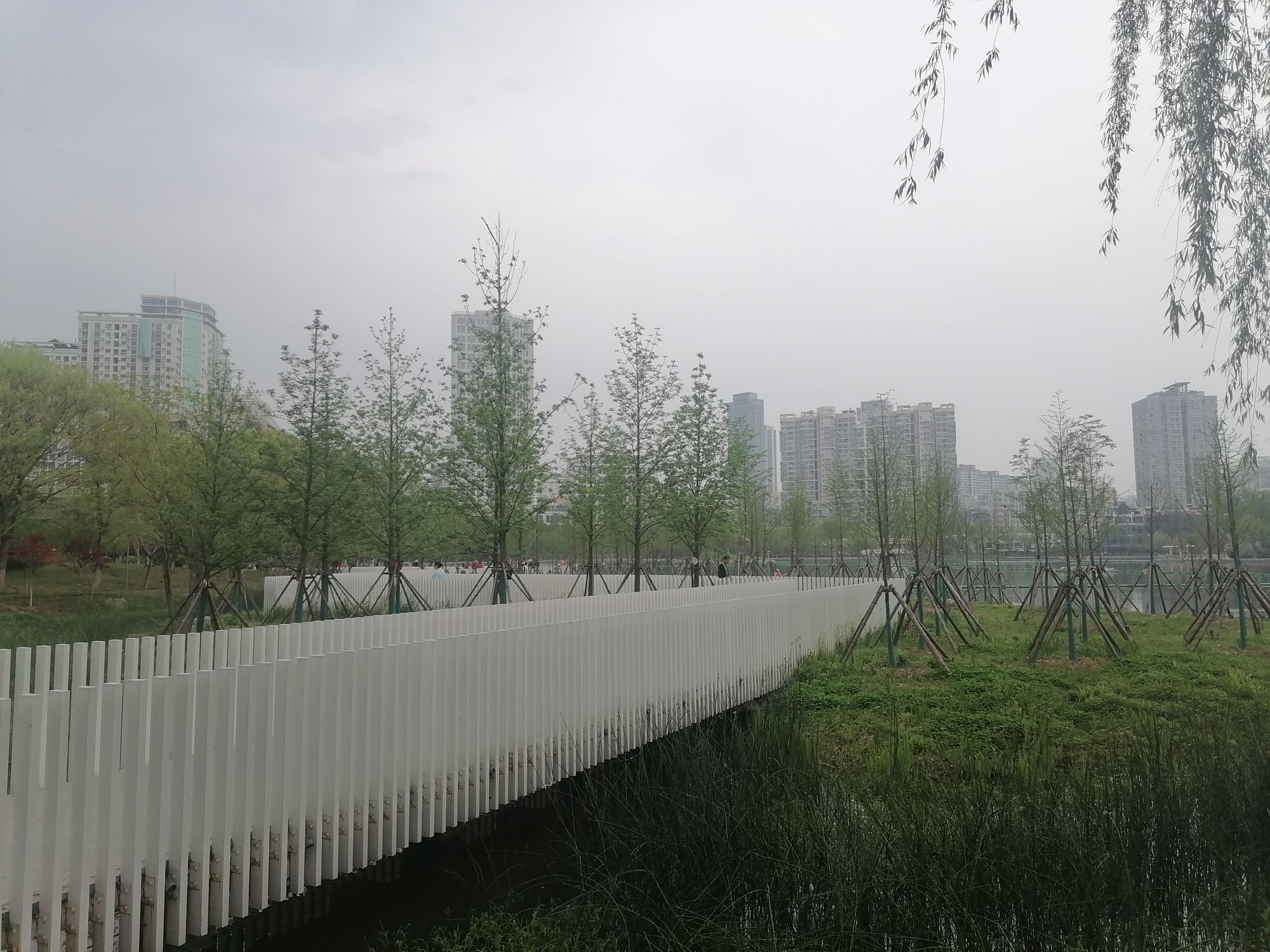 菱角湖公园旅行图片 2