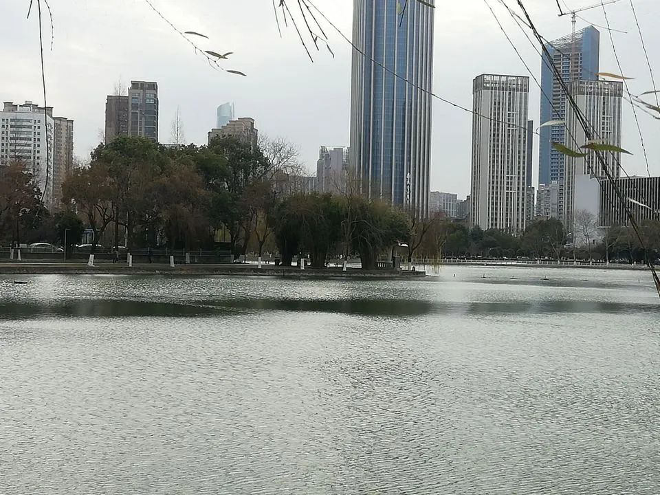 菱角湖公园旅行图片 3