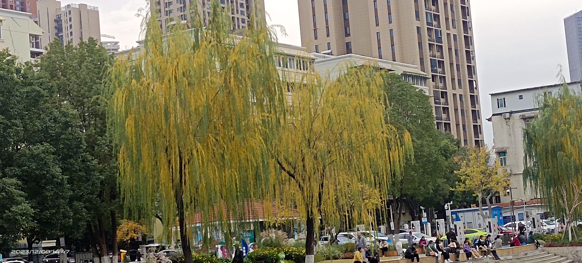 菱角湖公园旅行图片 2