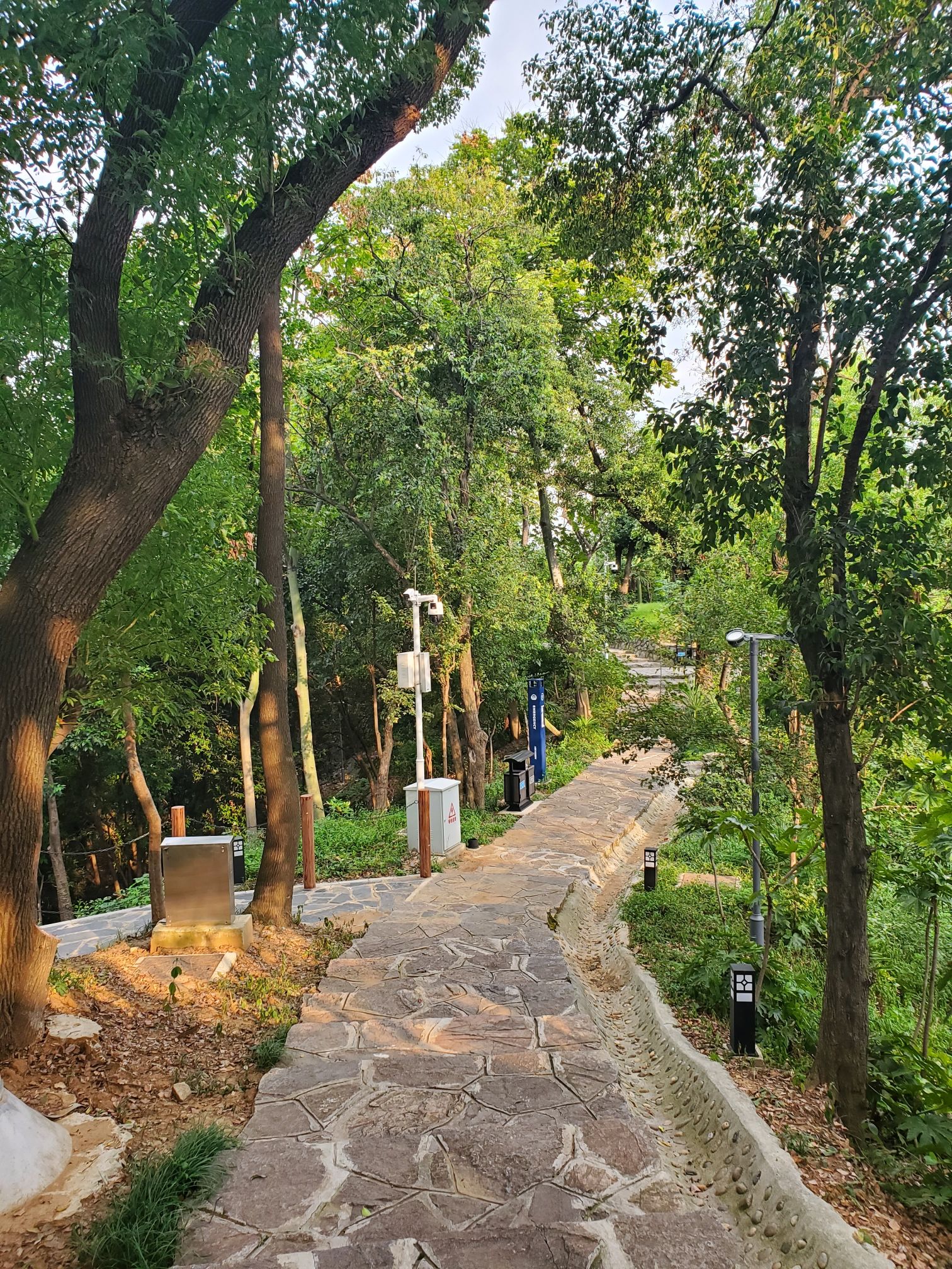 青山矶公园旅行图片 1
