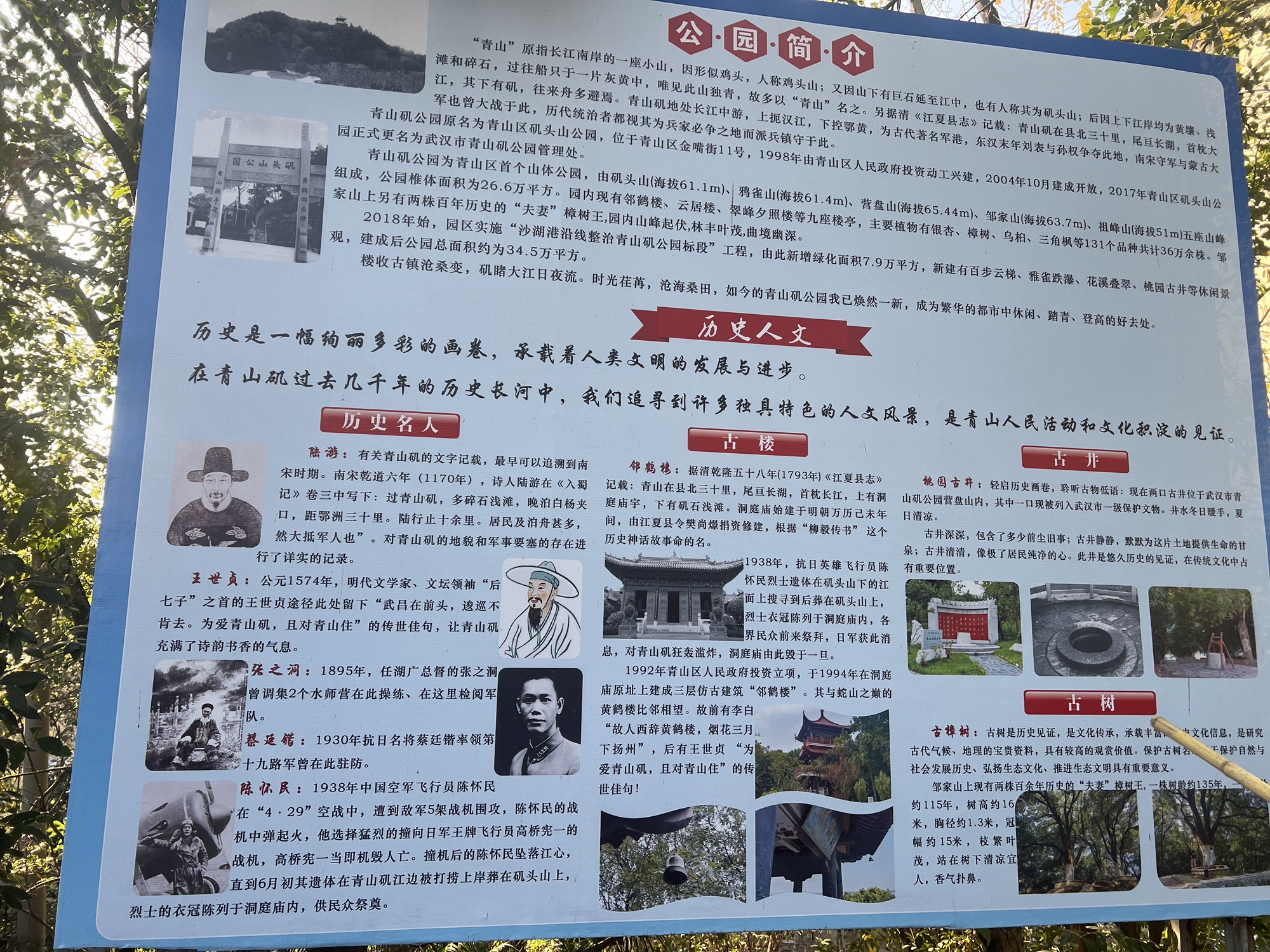 青山矶公园旅行图片 2