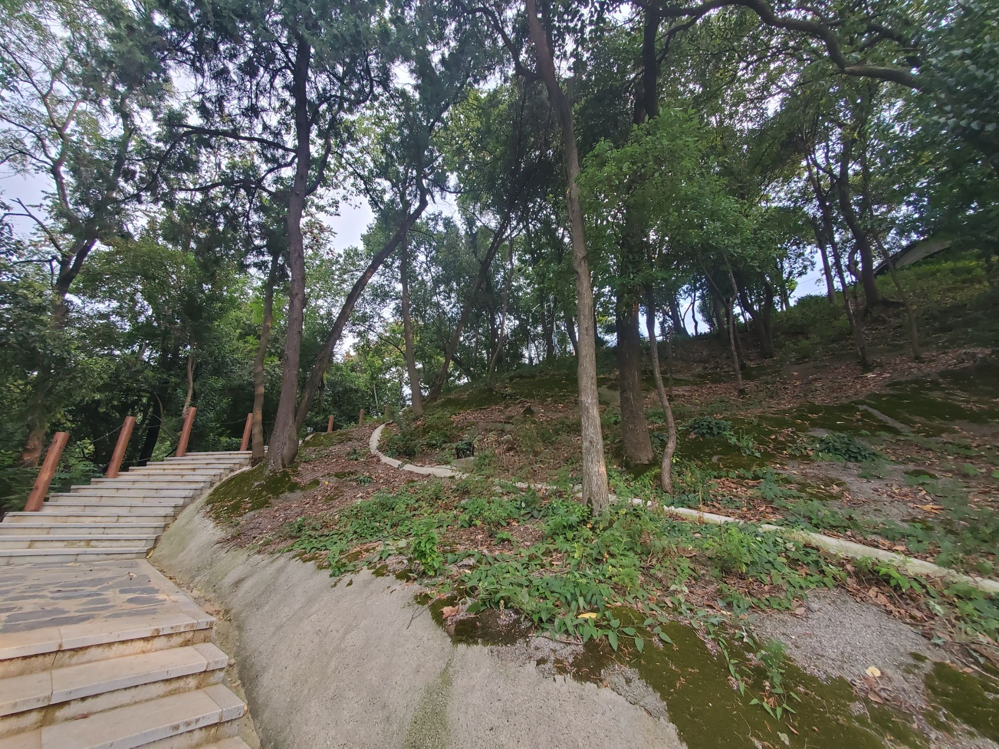 青山矶公园旅行图片 2