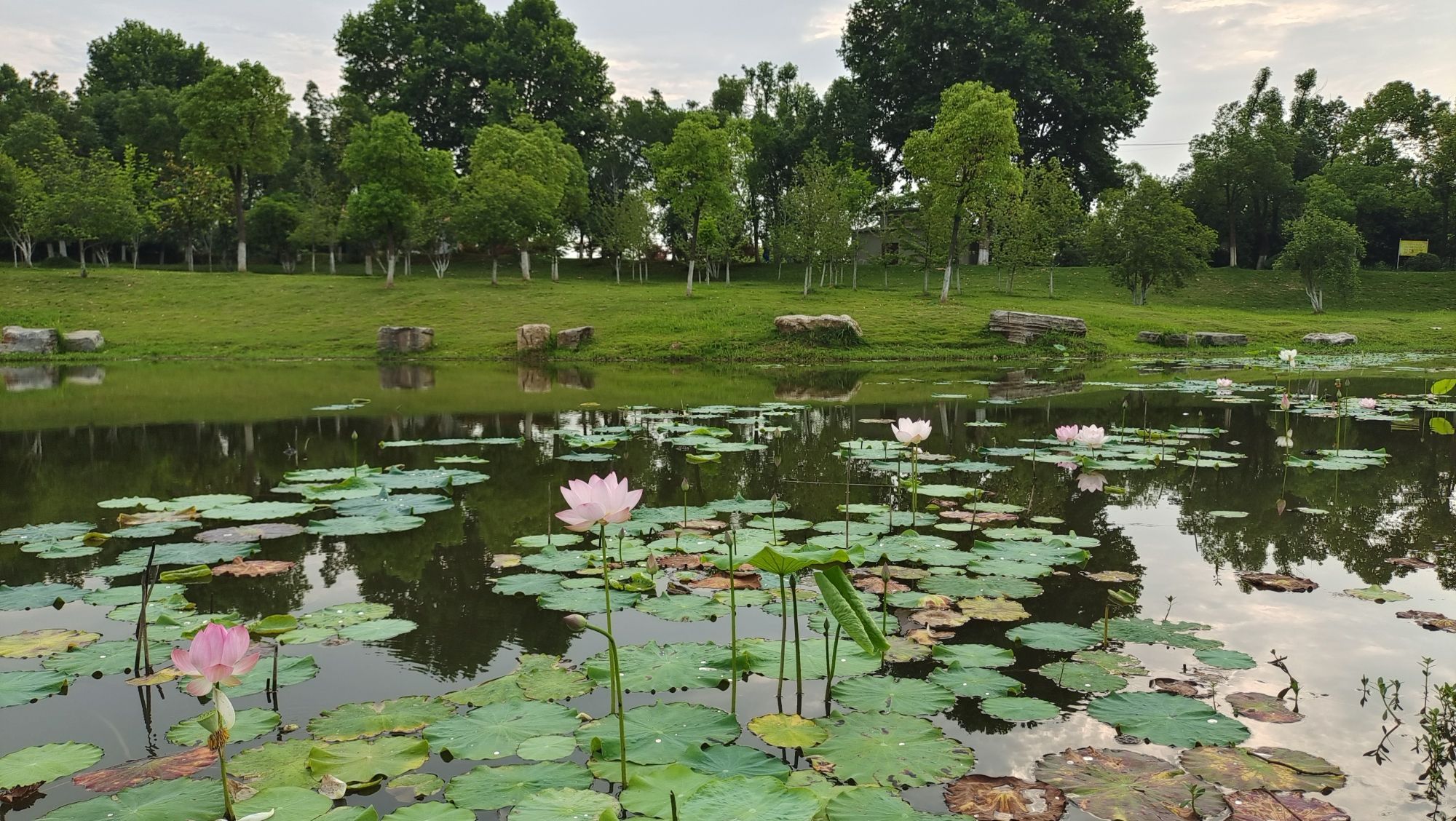 白玉公园旅行图片 2
