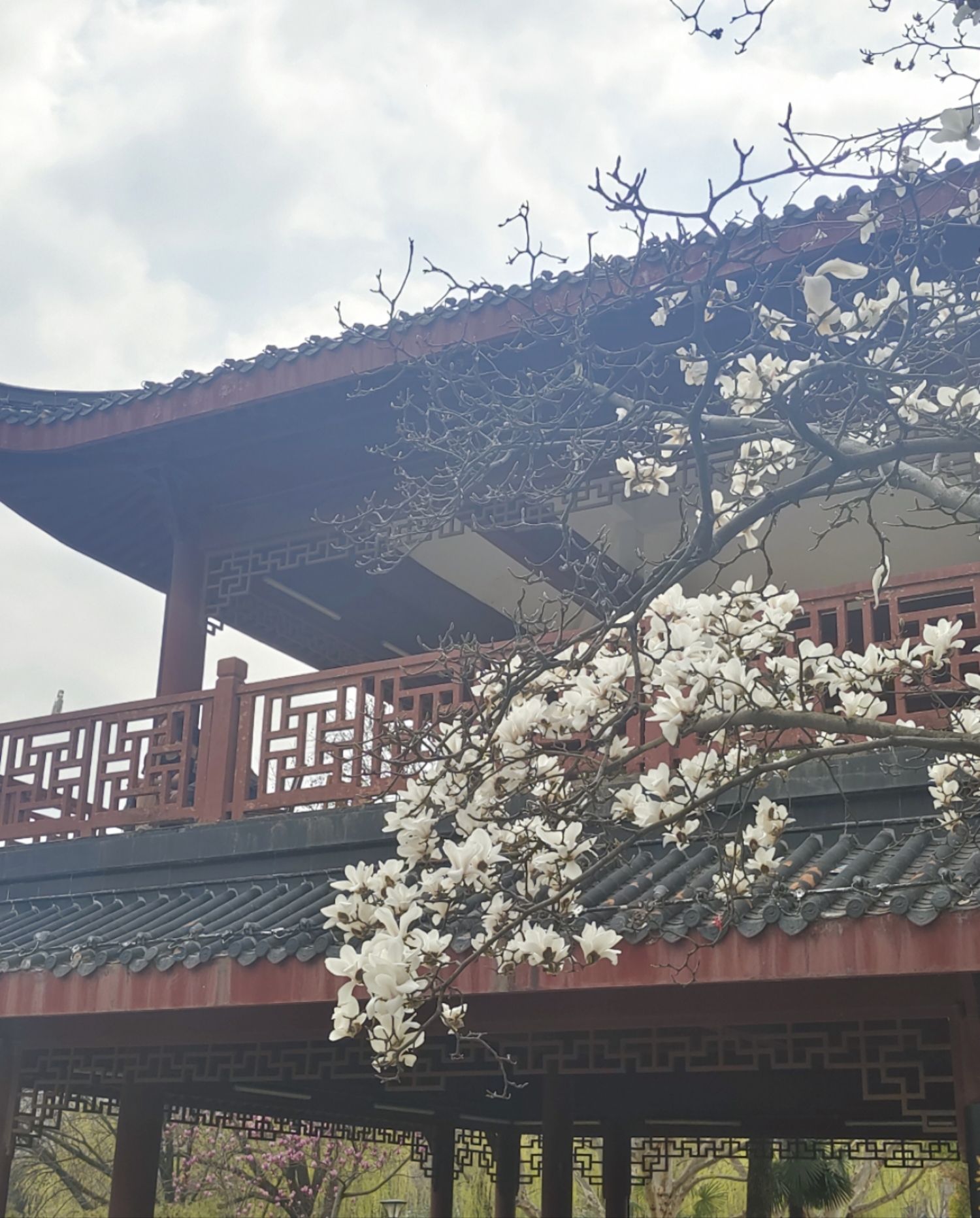 堤角公园旅行图片 1
