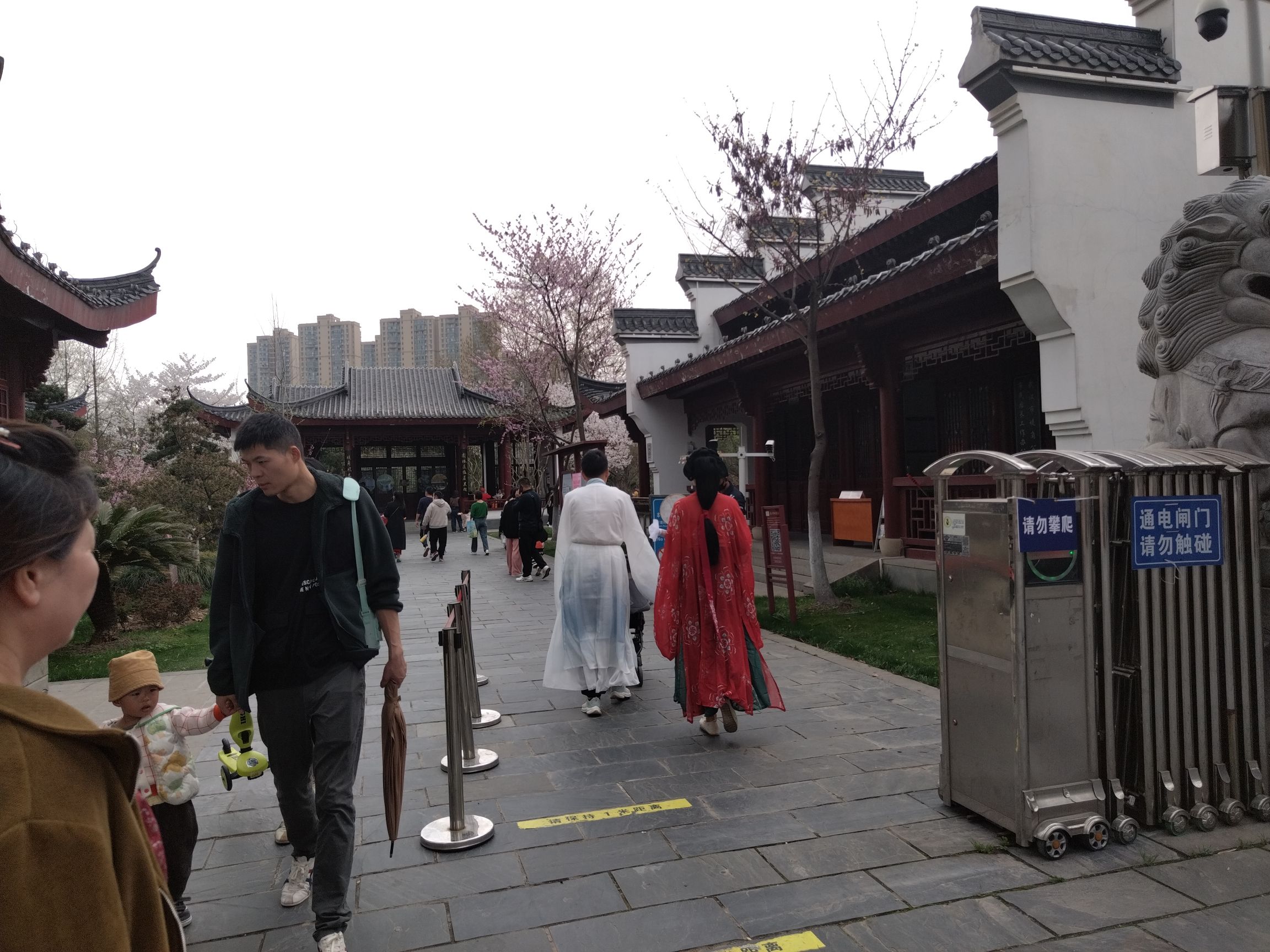 堤角公园旅行图片 2