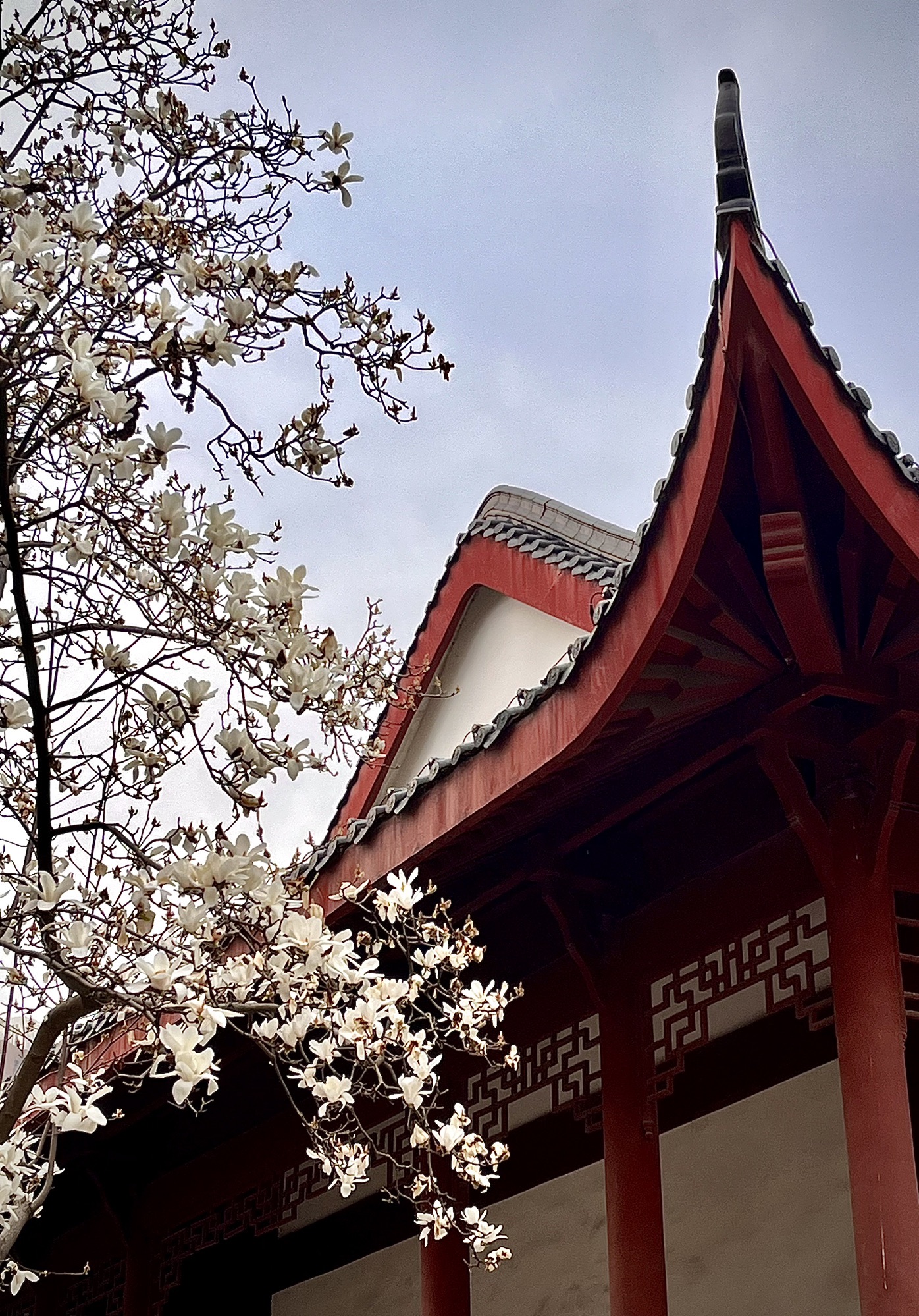 堤角公园旅行图片 3