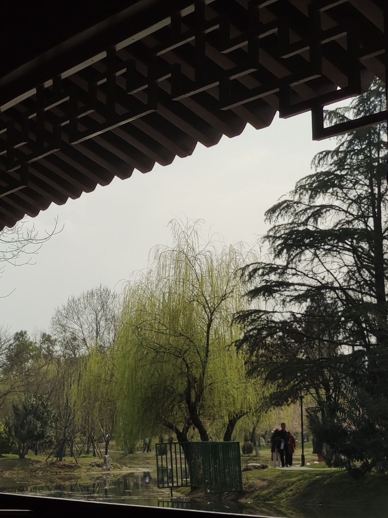 堤角公园旅行图片 2