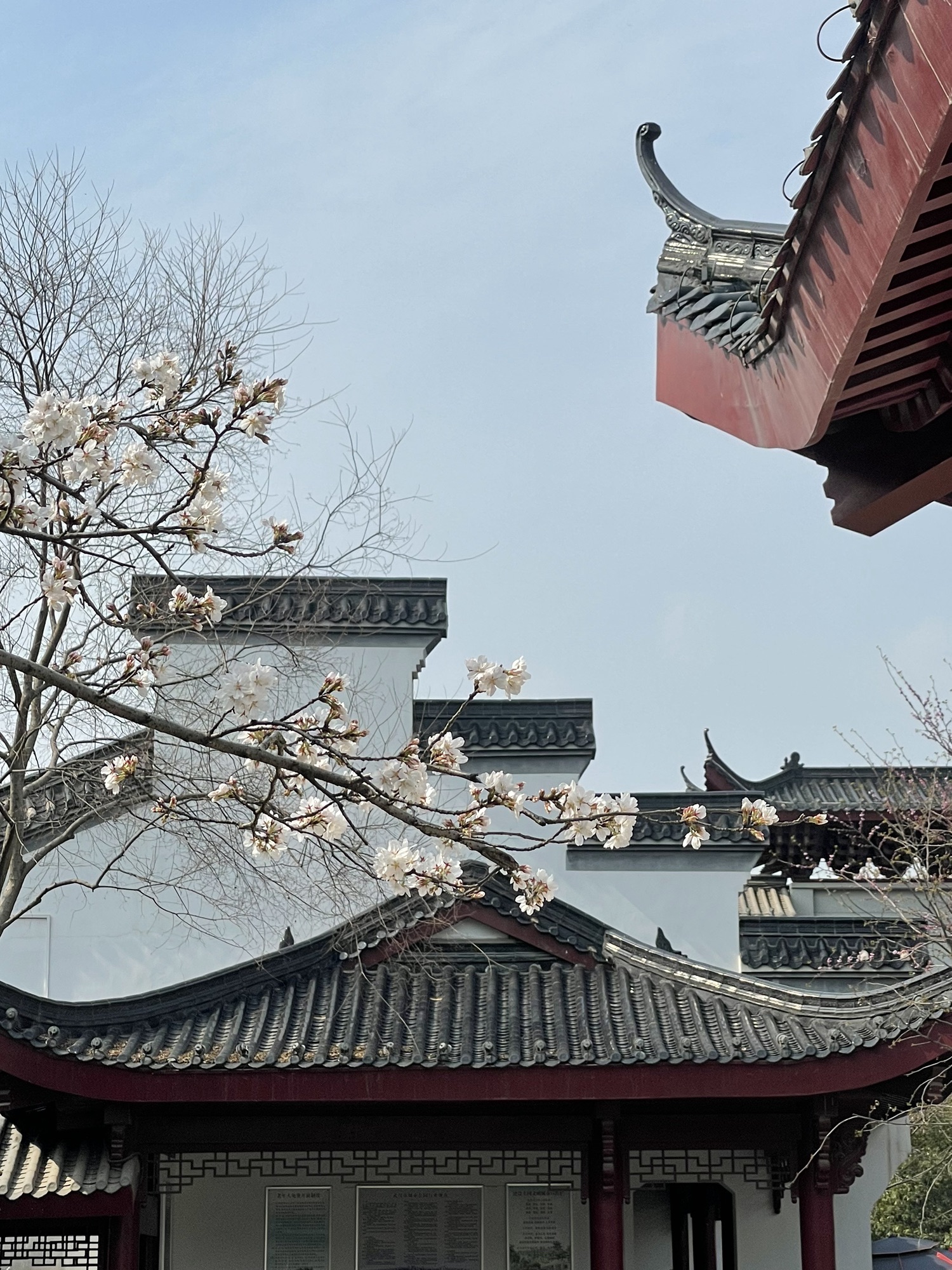 堤角公园旅行图片 3