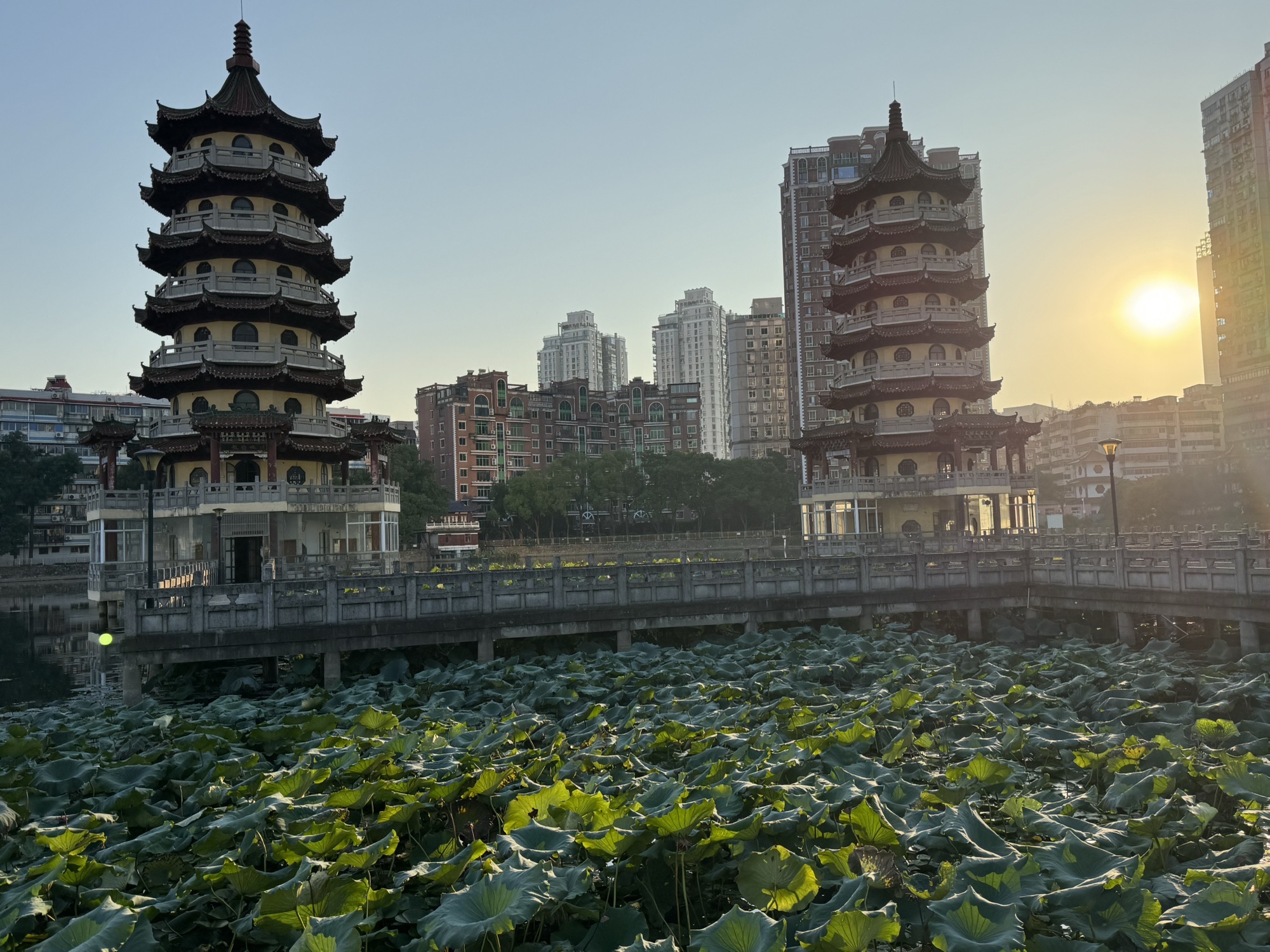 宝岛公园旅行图片 1