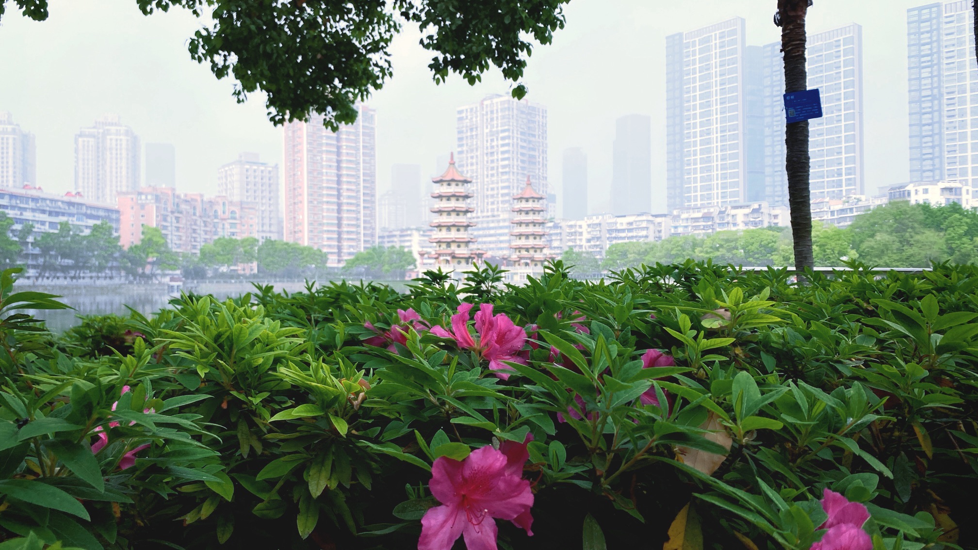 宝岛公园旅行图片 3