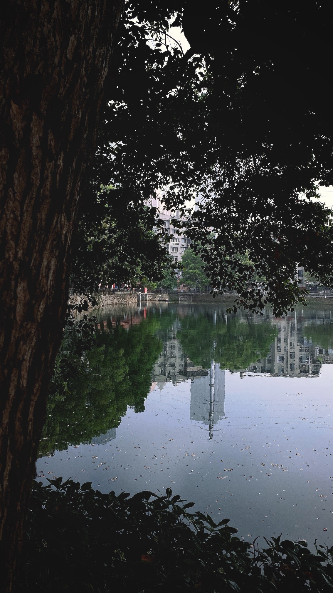 宝岛公园旅行图片 1