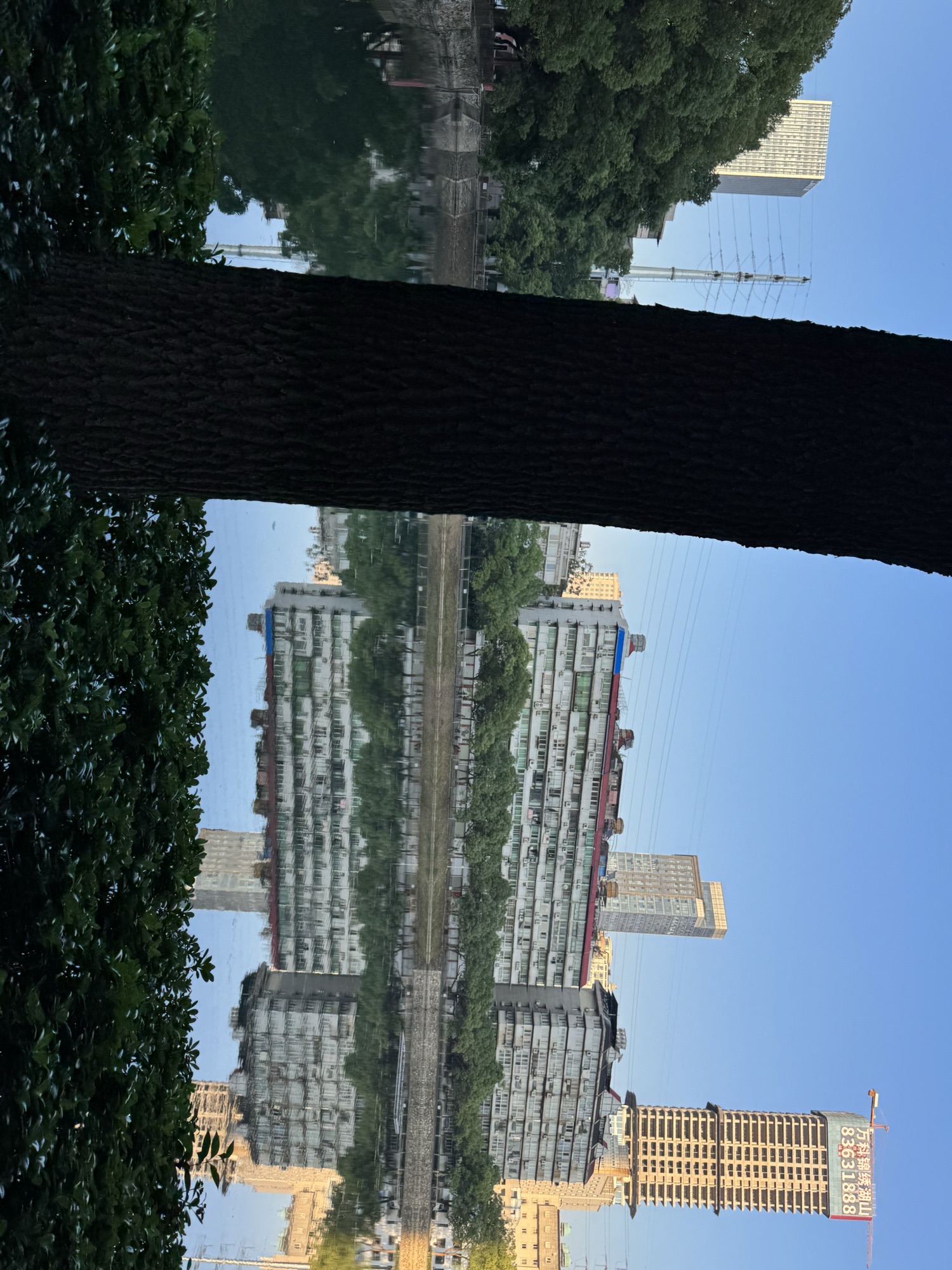 宝岛公园旅行图片 3