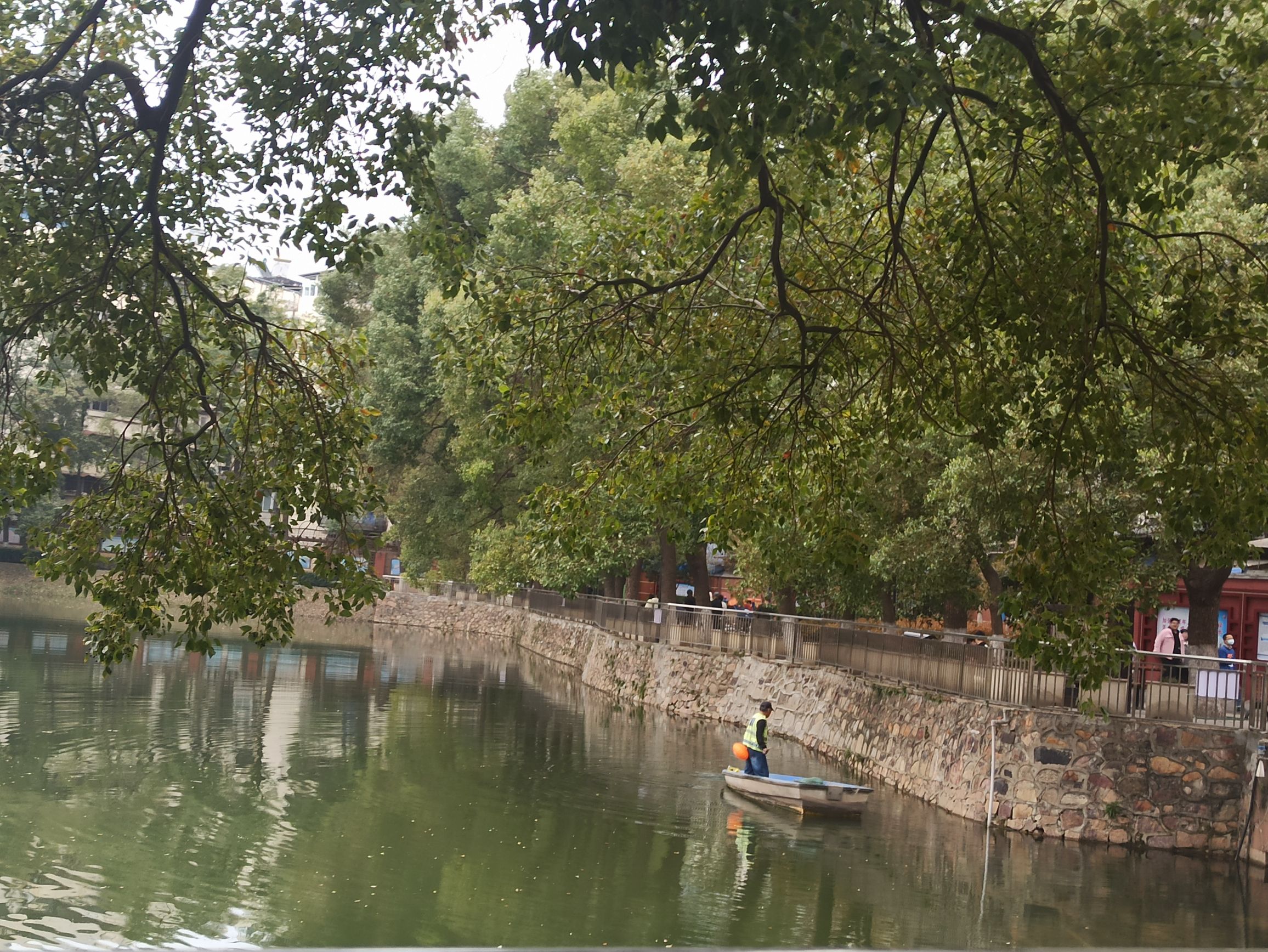 宝岛公园旅行图片 2