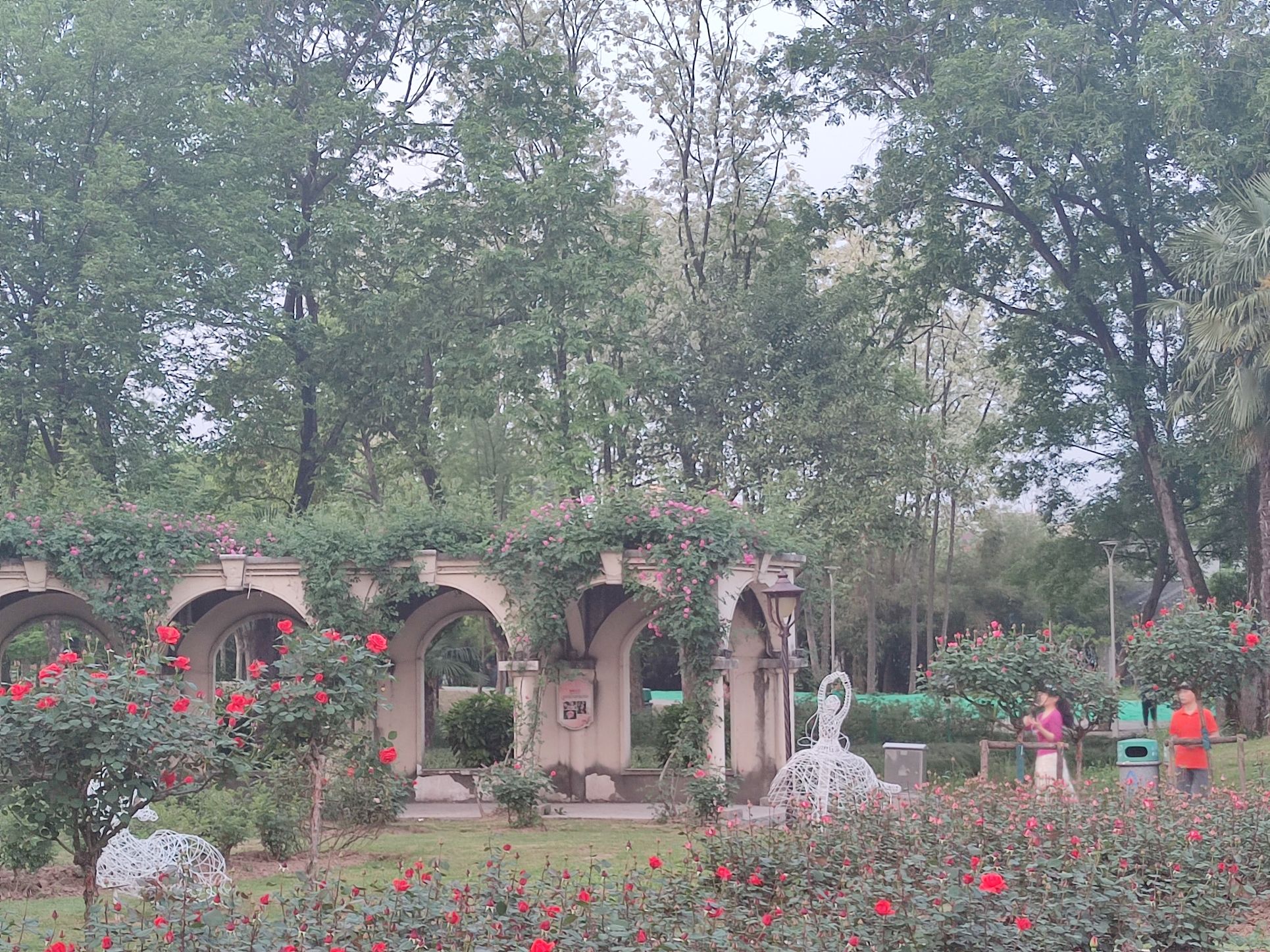 武汉市和平公园旅行图片 2