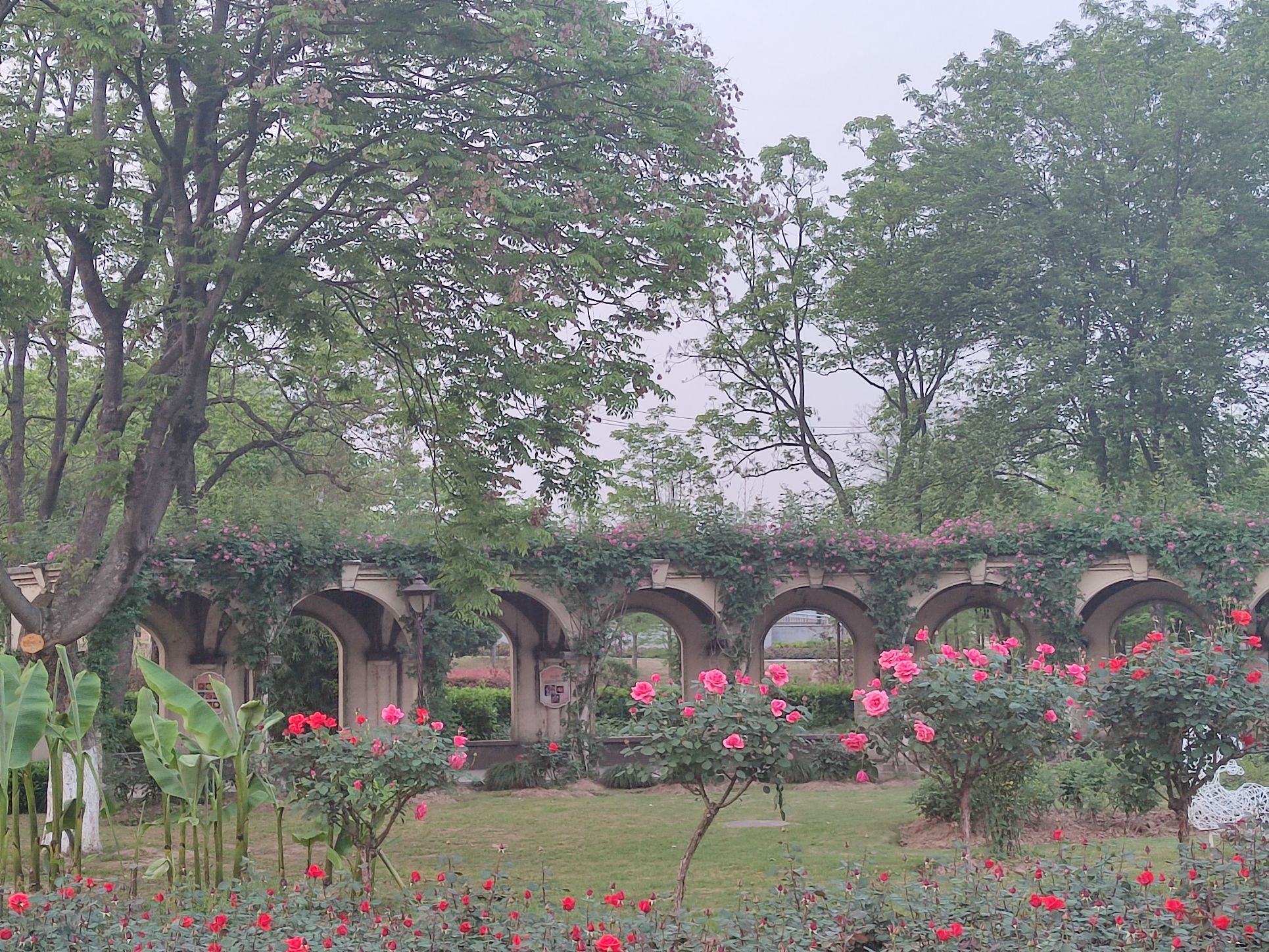 武汉市和平公园旅行图片 1
