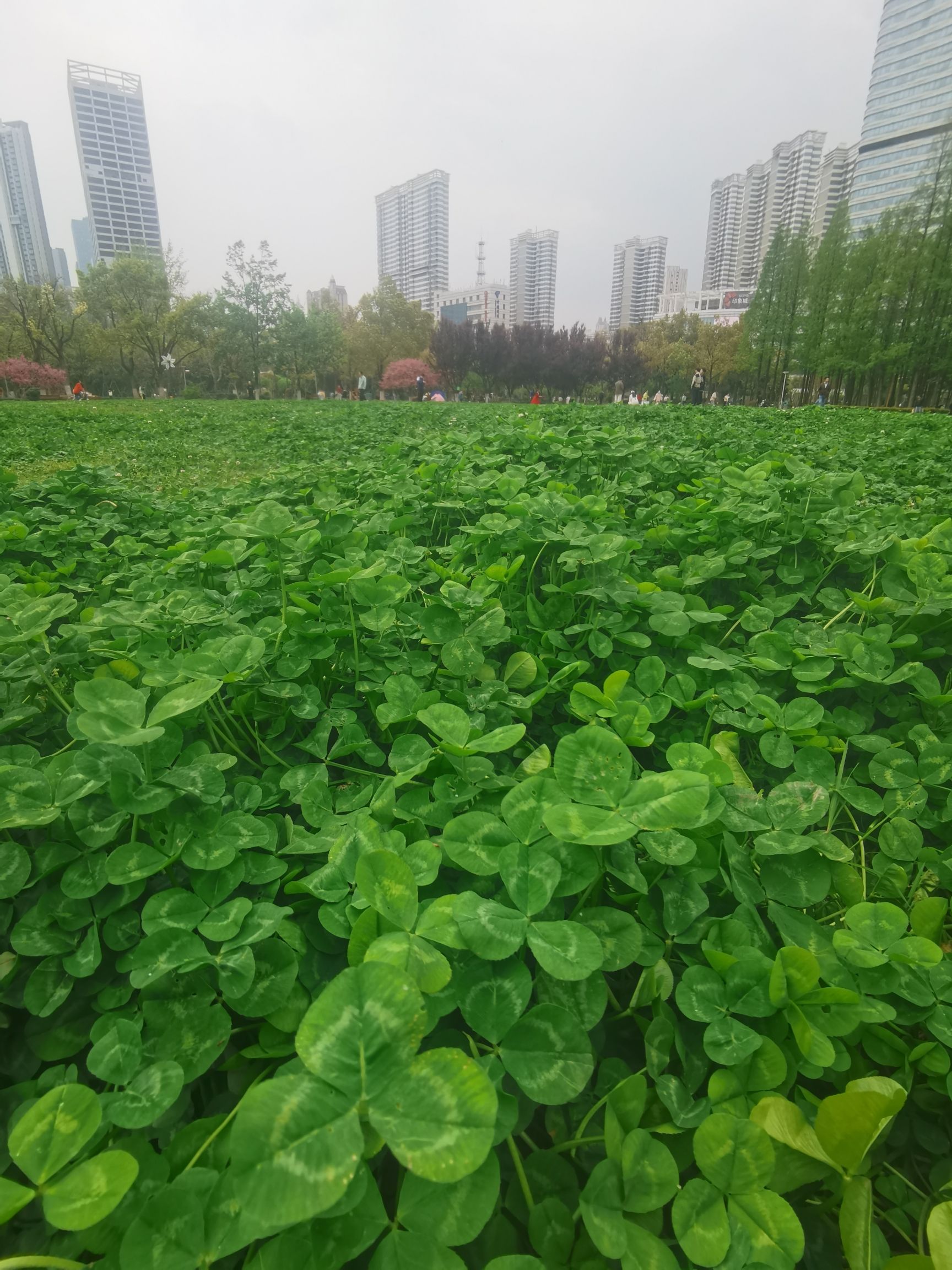 武汉市和平公园旅行图片 2