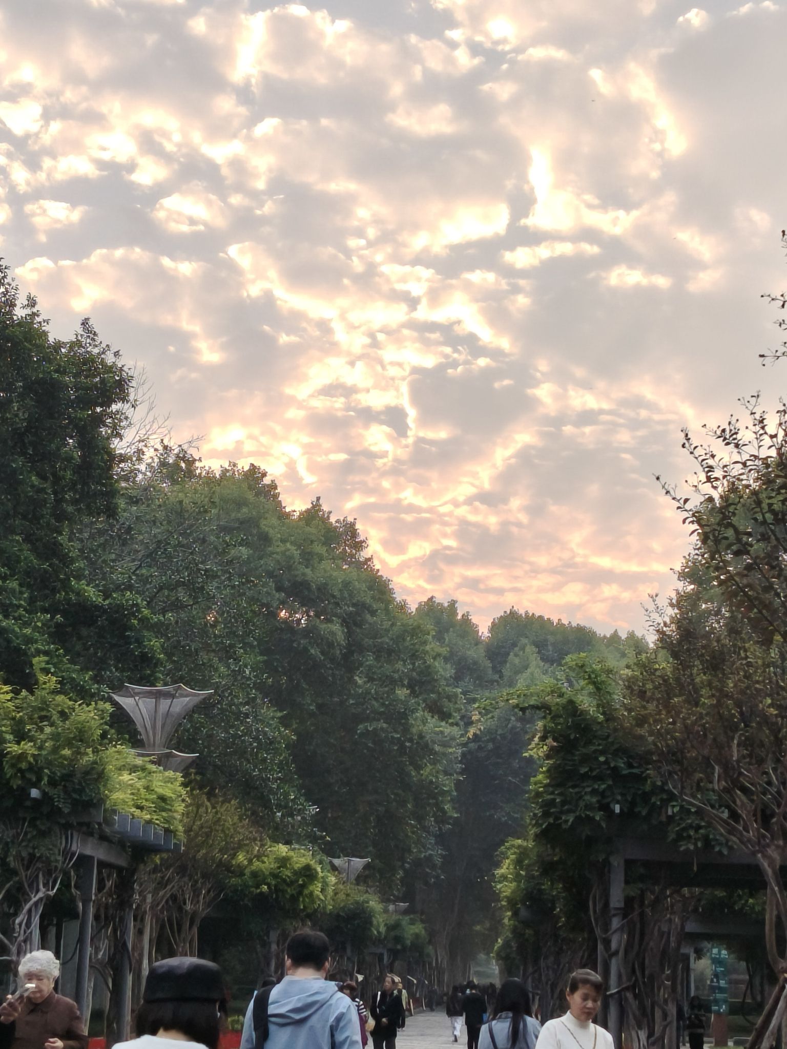 解放公园旅行图片 3