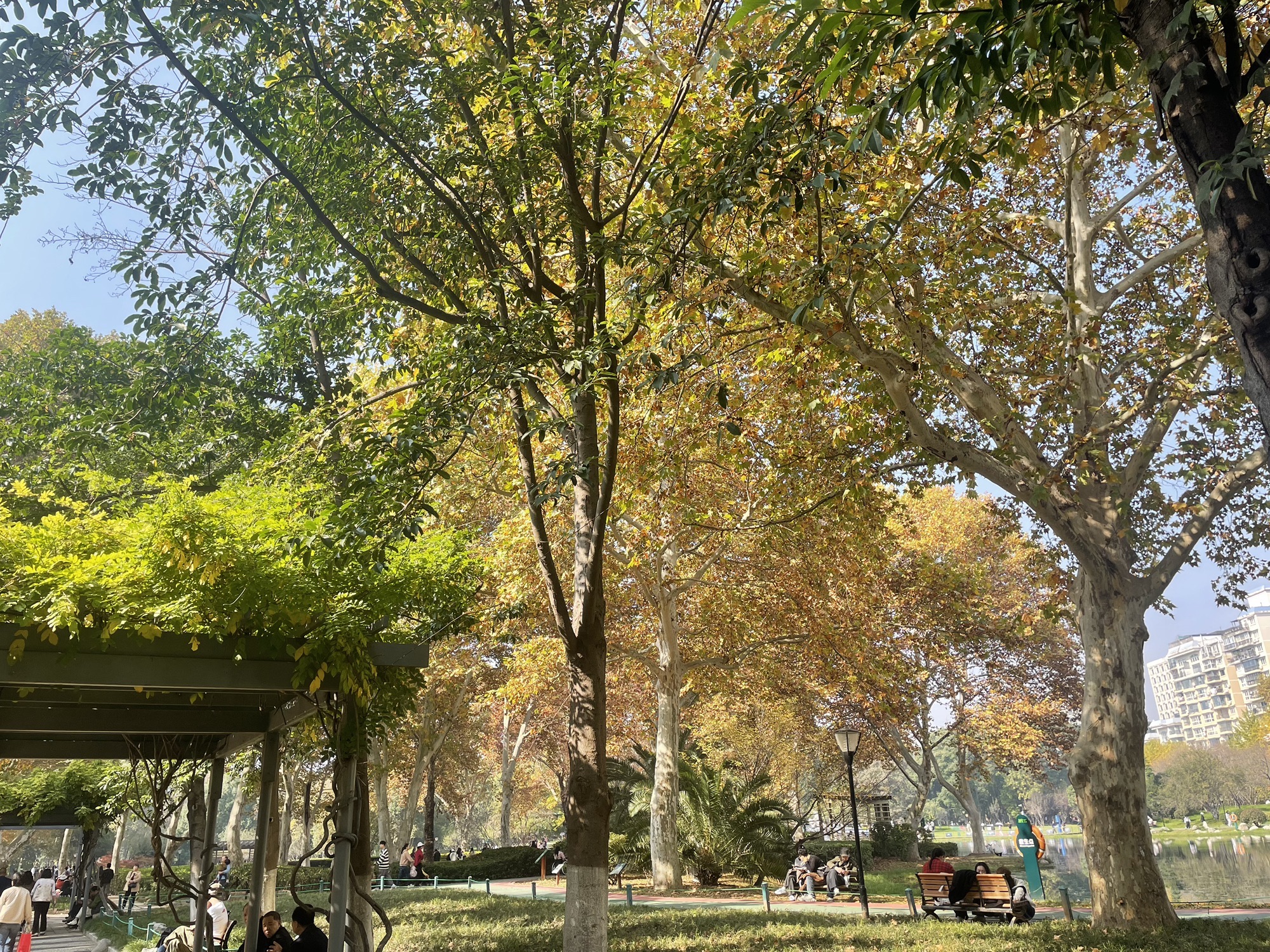 解放公园旅行图片 1