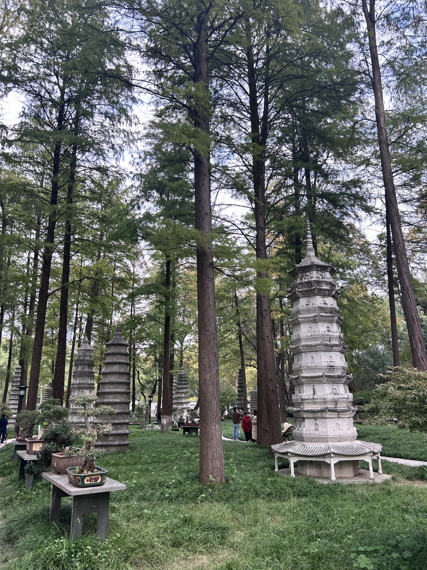 解放公园旅行图片 1