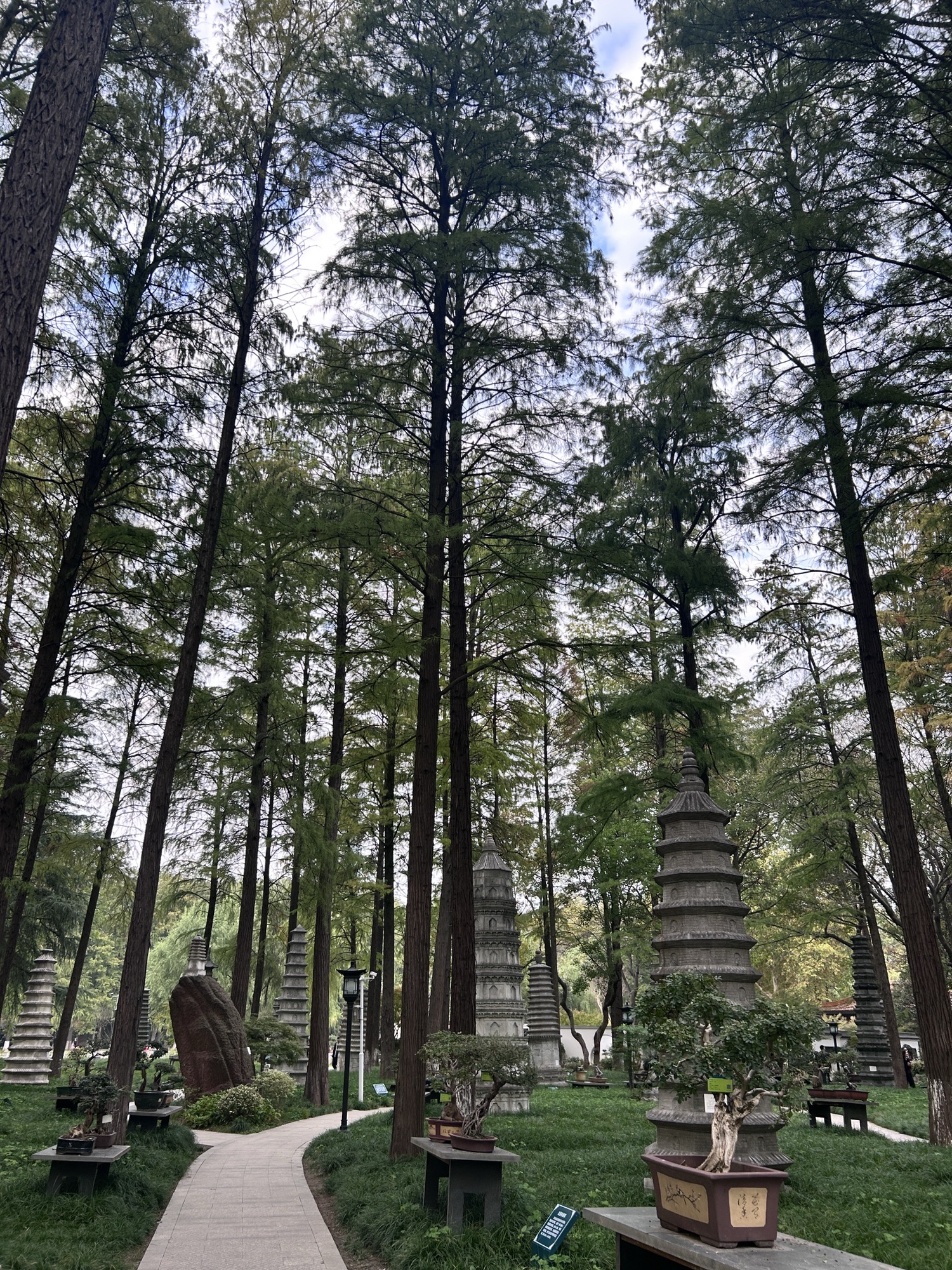 解放公园旅行图片 2