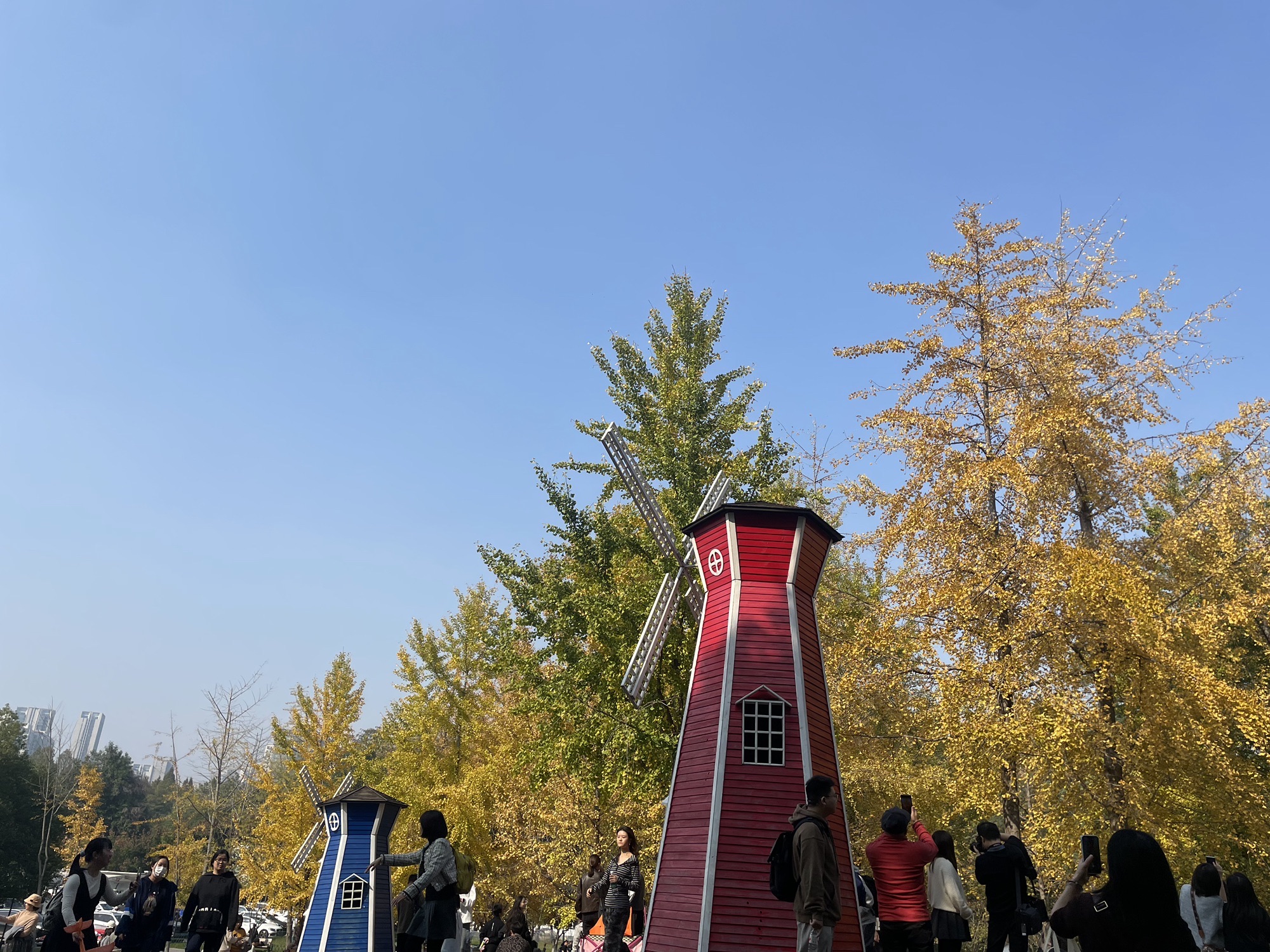解放公园旅行图片 3