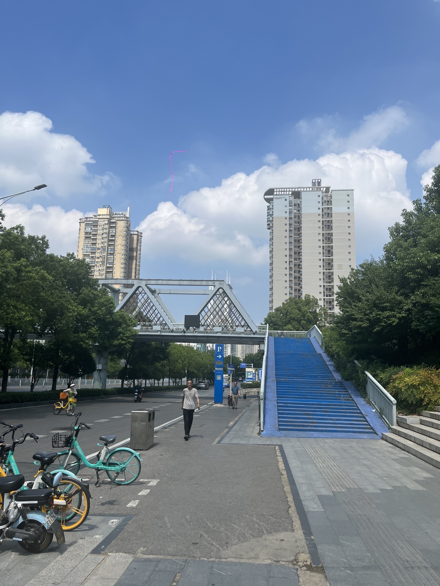 洪山公园旅行图片 3