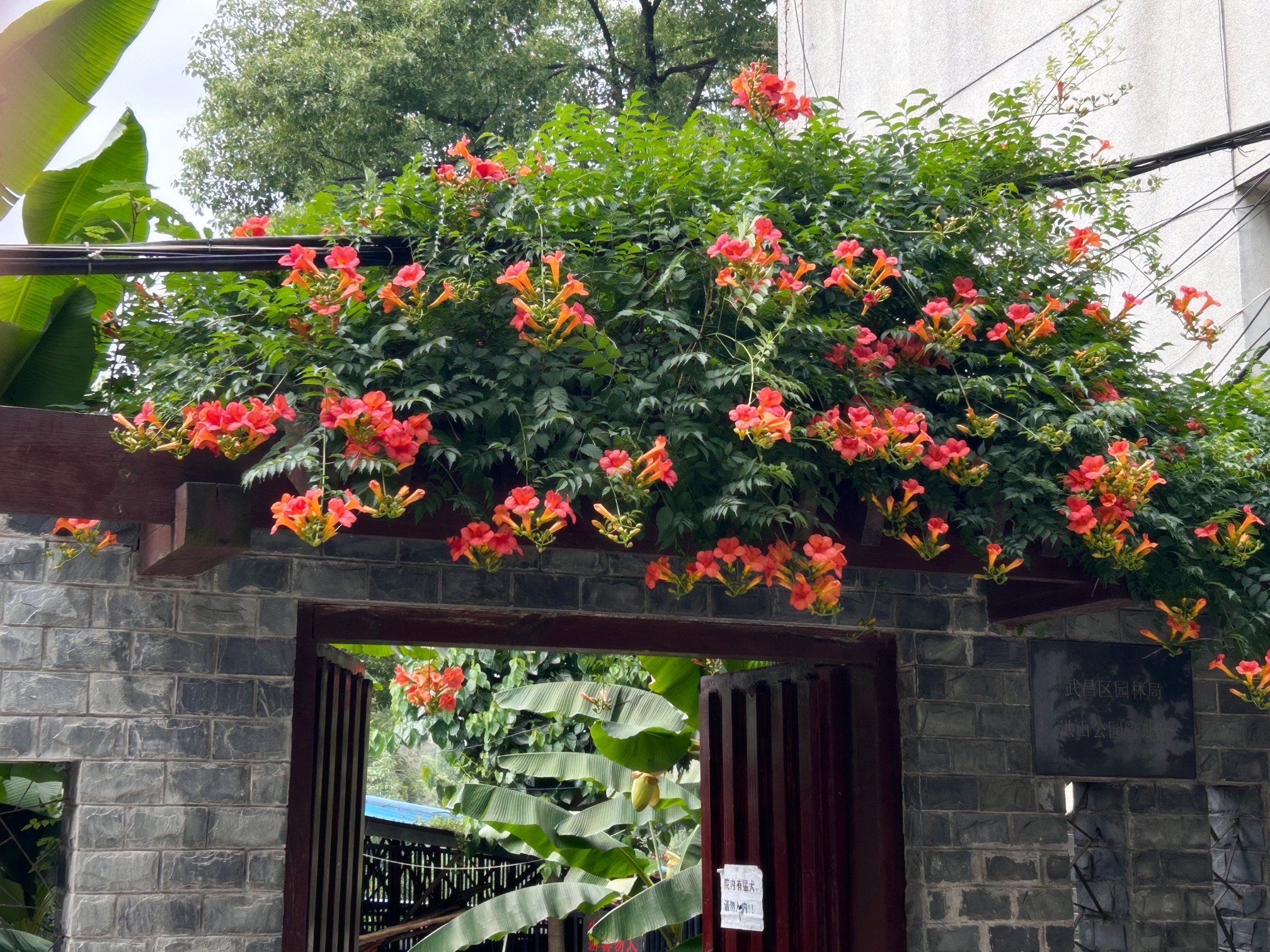 洪山公园旅行图片 1