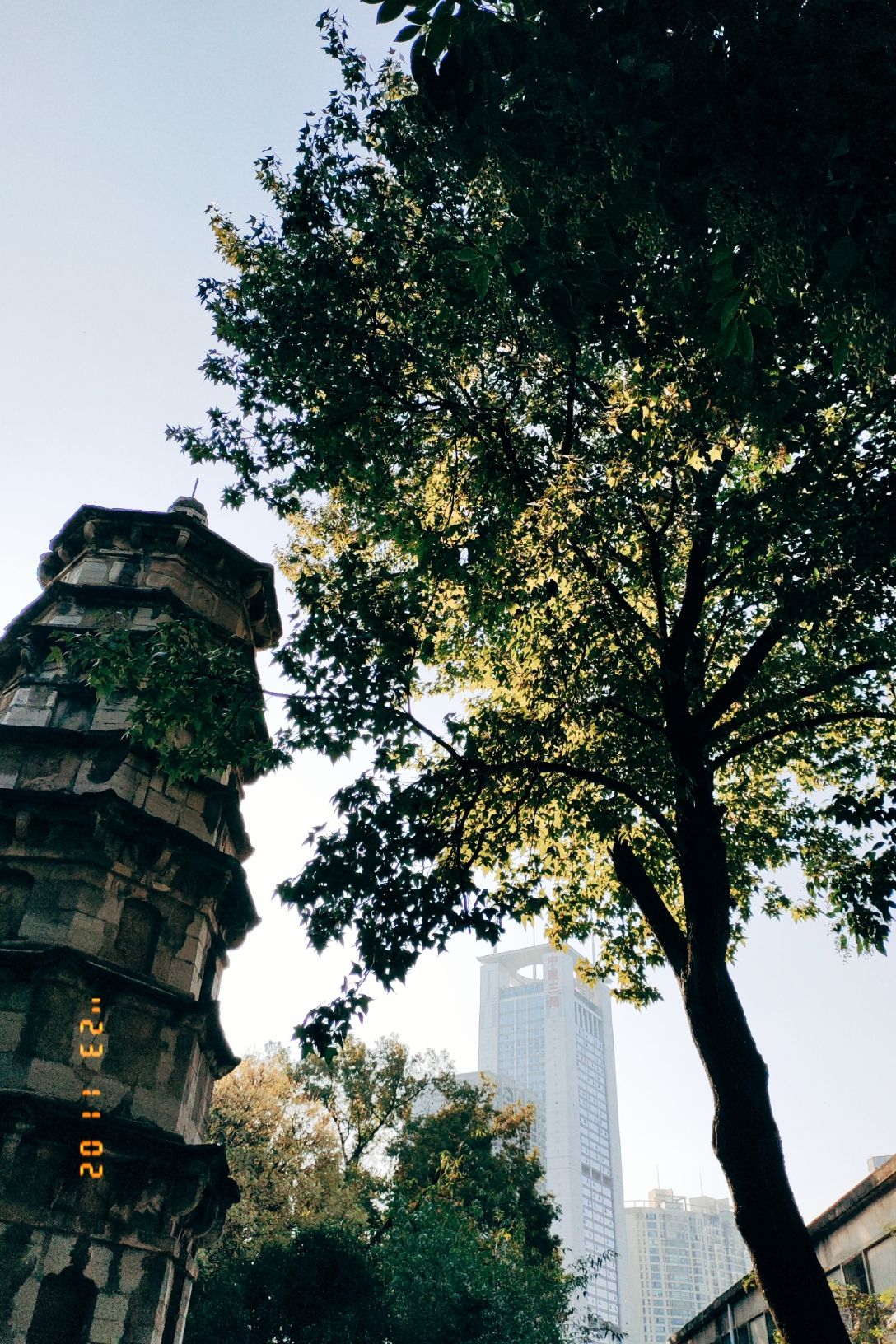 洪山公园旅行图片 3