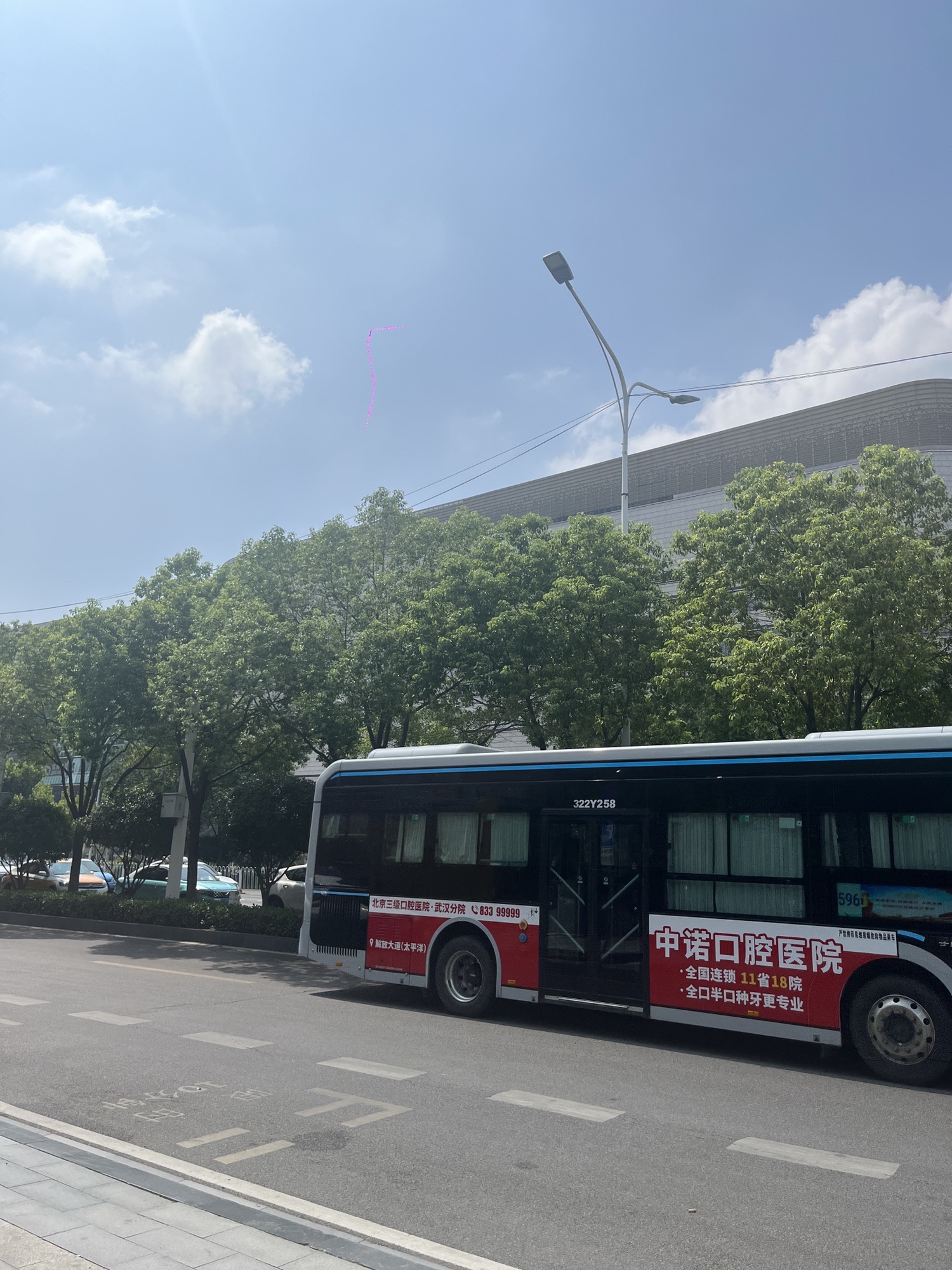 洪山公园旅行图片 2