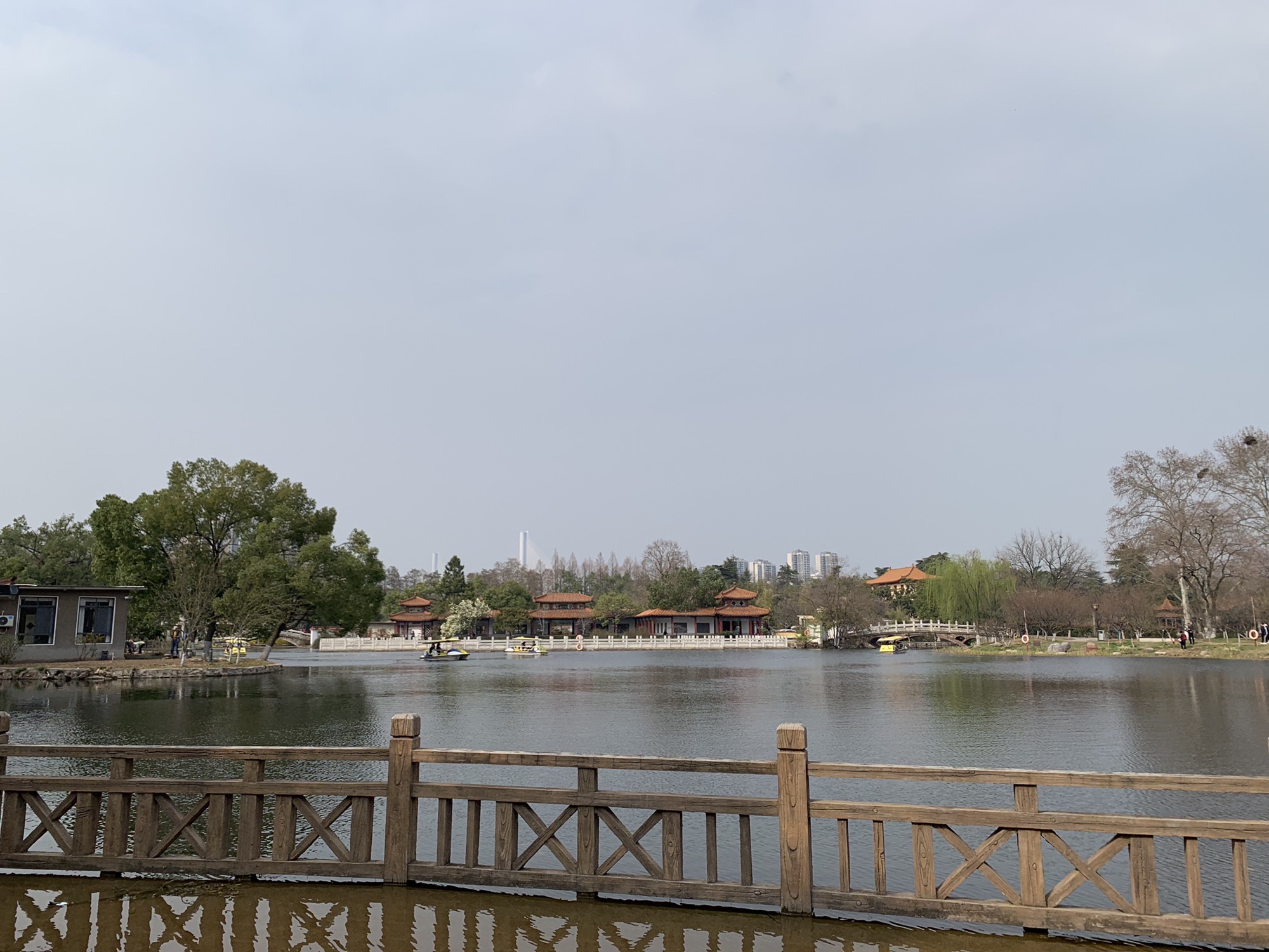 青山公园旅行图片 1
