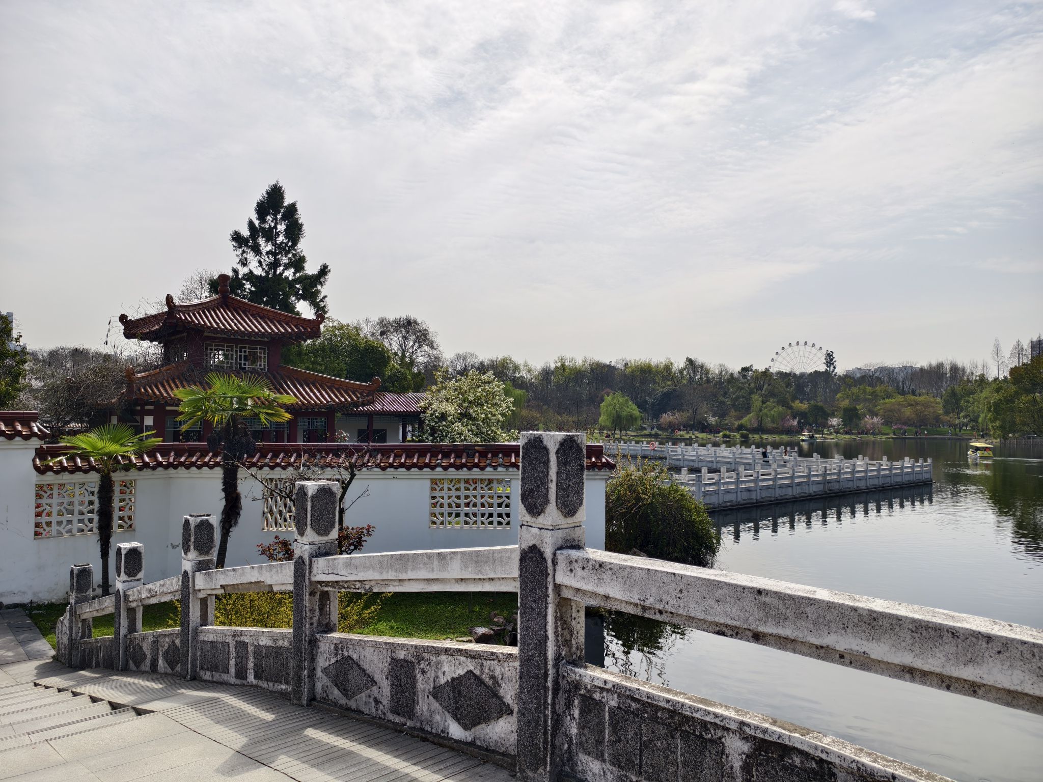 青山公园旅行图片 2