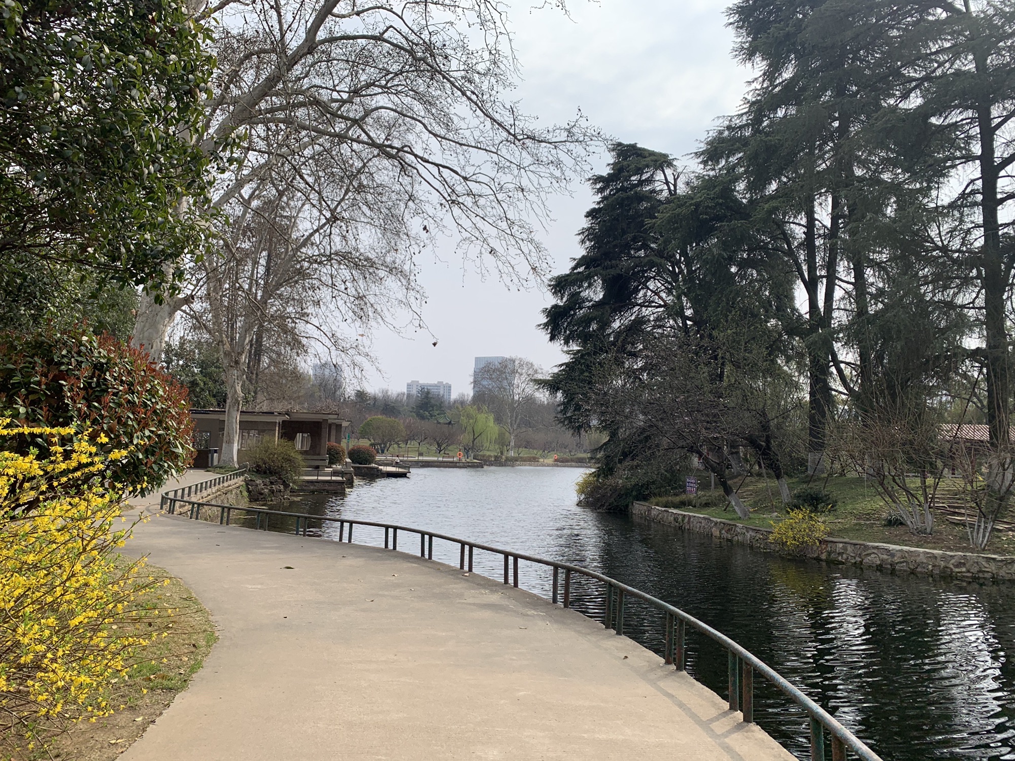 青山公园旅行图片 3