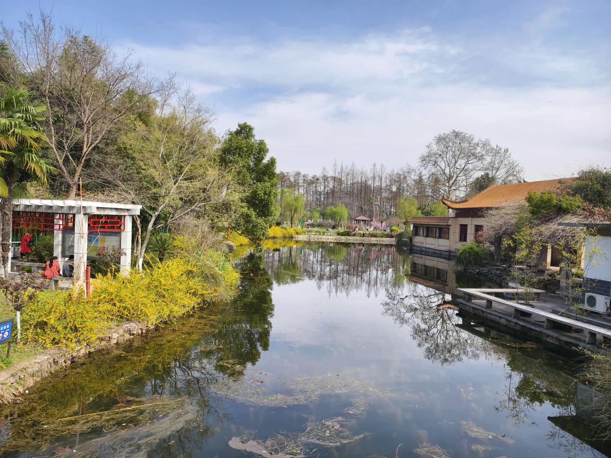 青山公园旅行图片 3