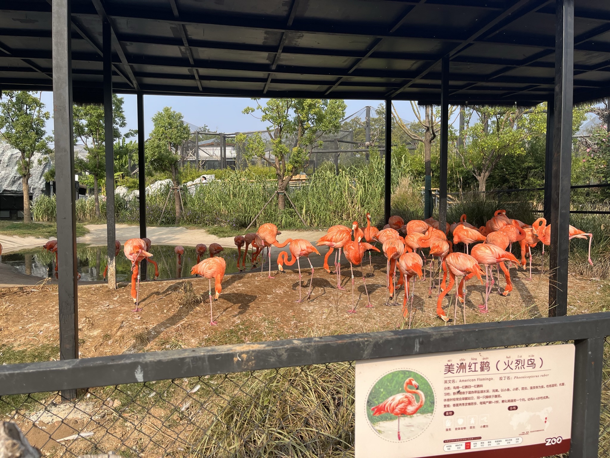 武汉动物园旅行图片 1