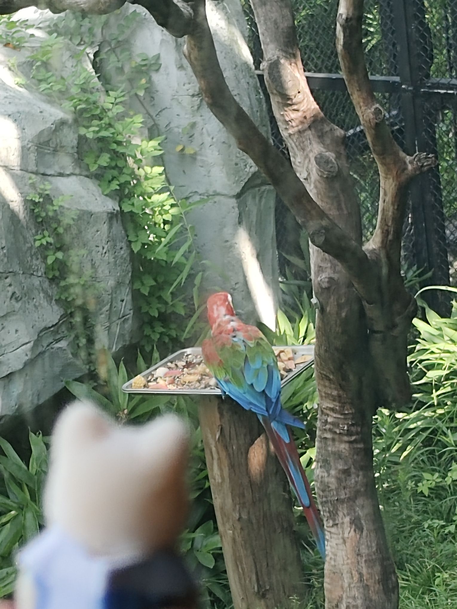武汉动物园旅行图片 3