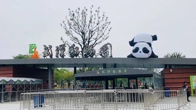 武汉动物园旅行图片 1