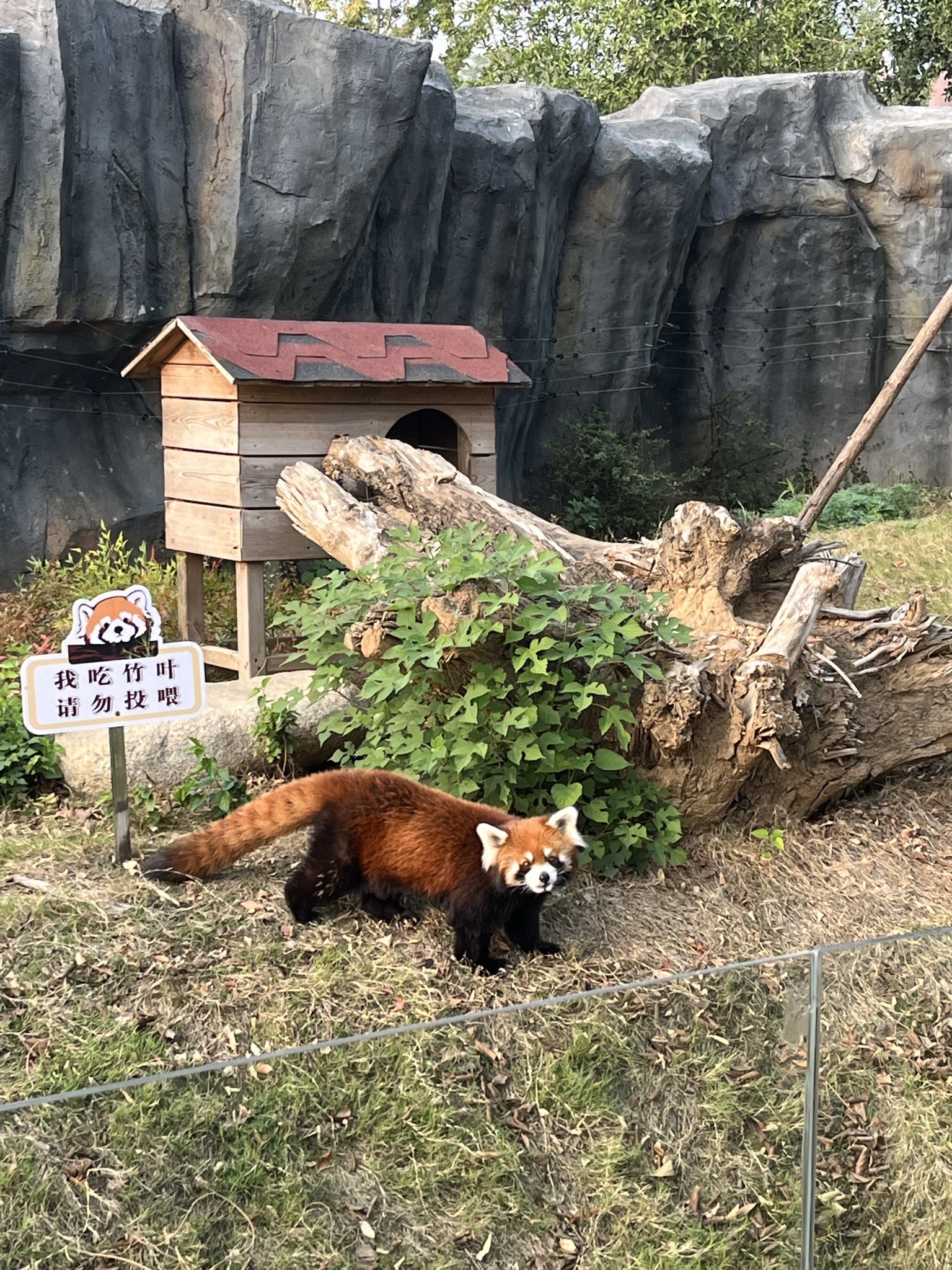 武汉动物园旅行图片 3