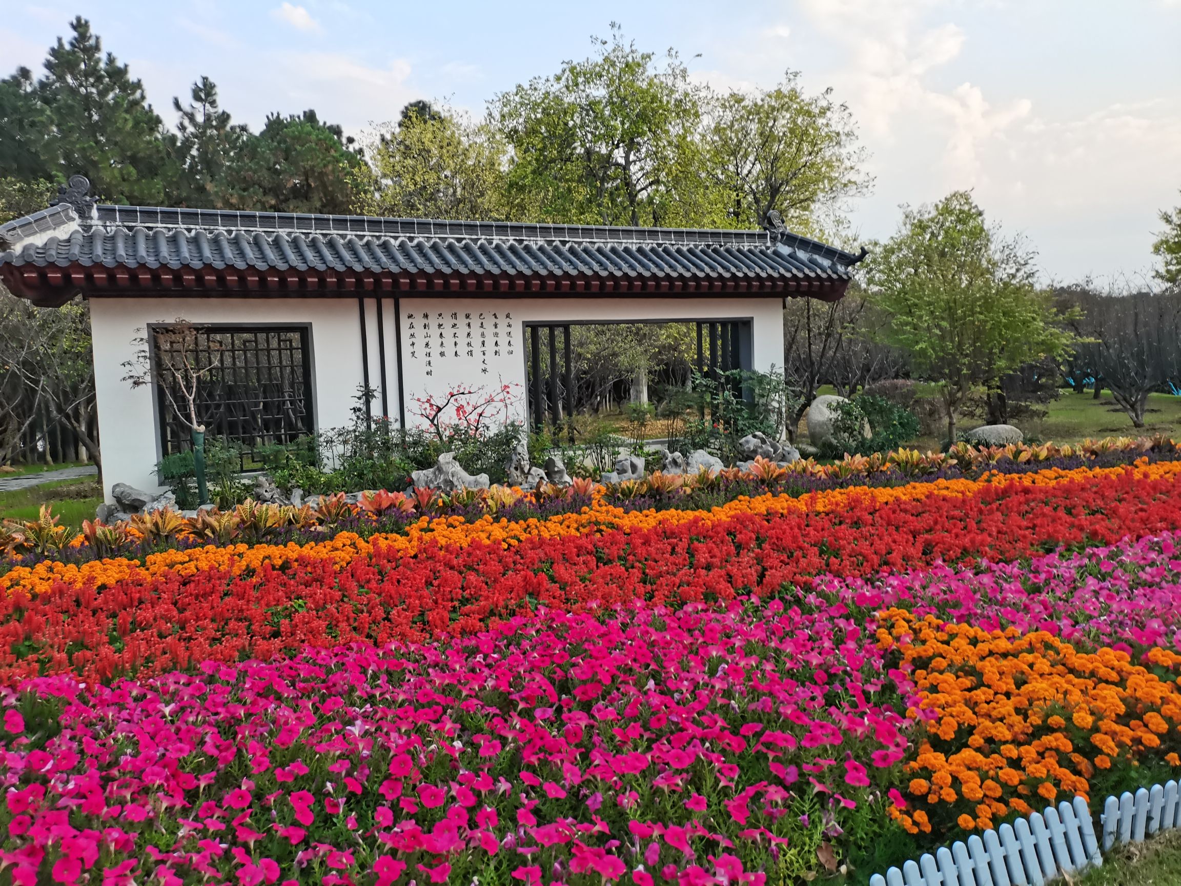 汤湖公园