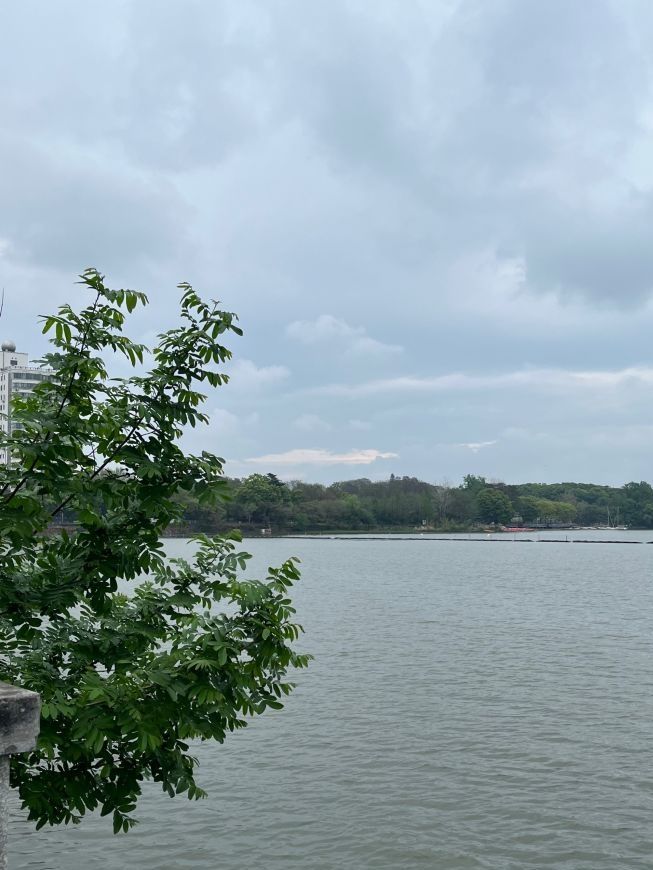 放鹰台旅行图片 1